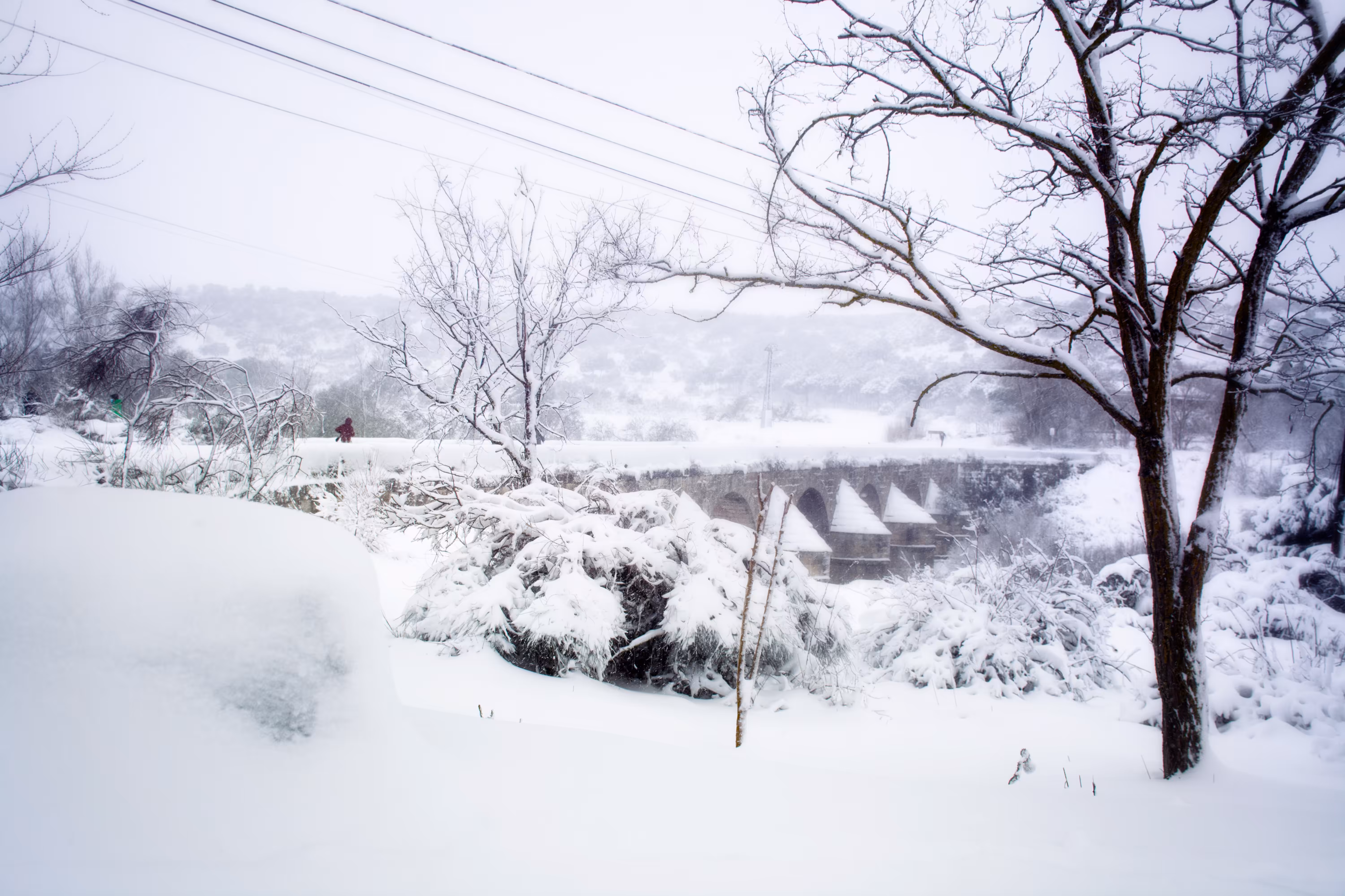 Snow's melancholy I