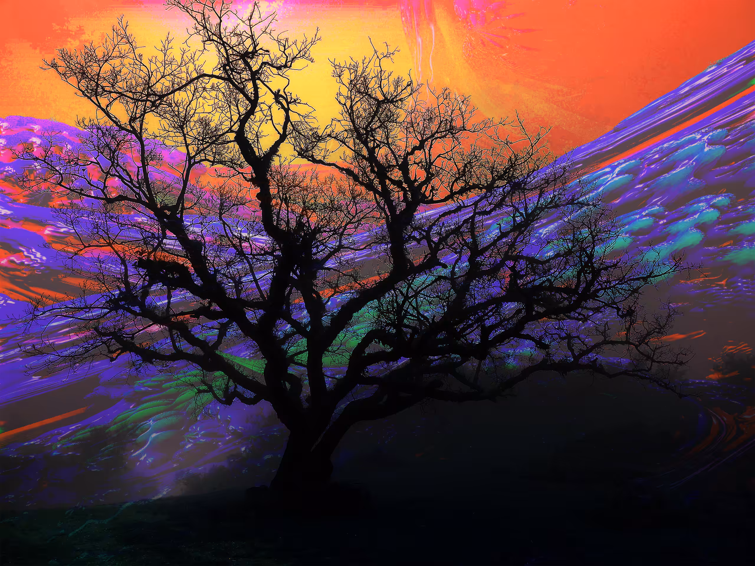 Fractal Evening 