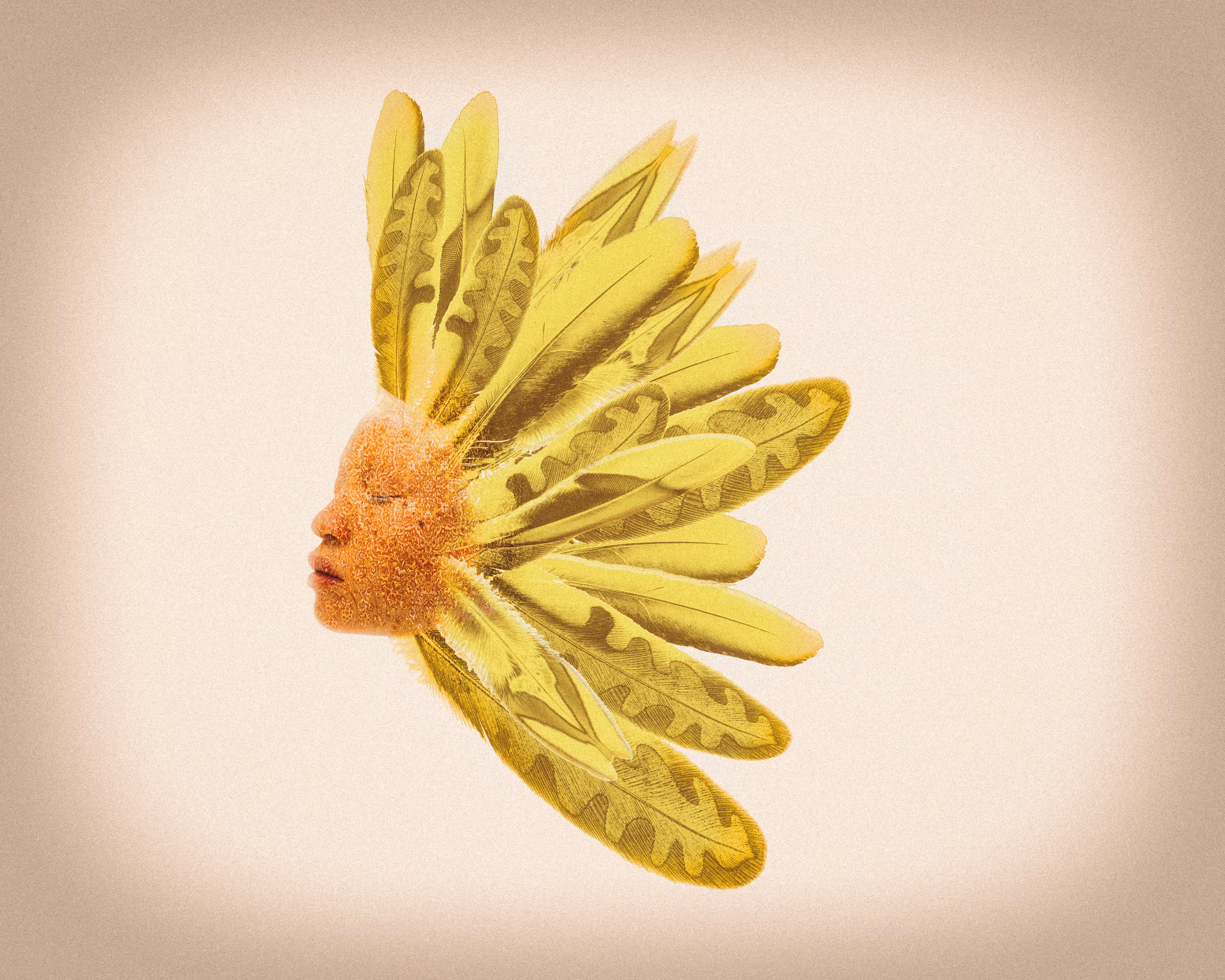 war bonnet: GOLDEN QUILL