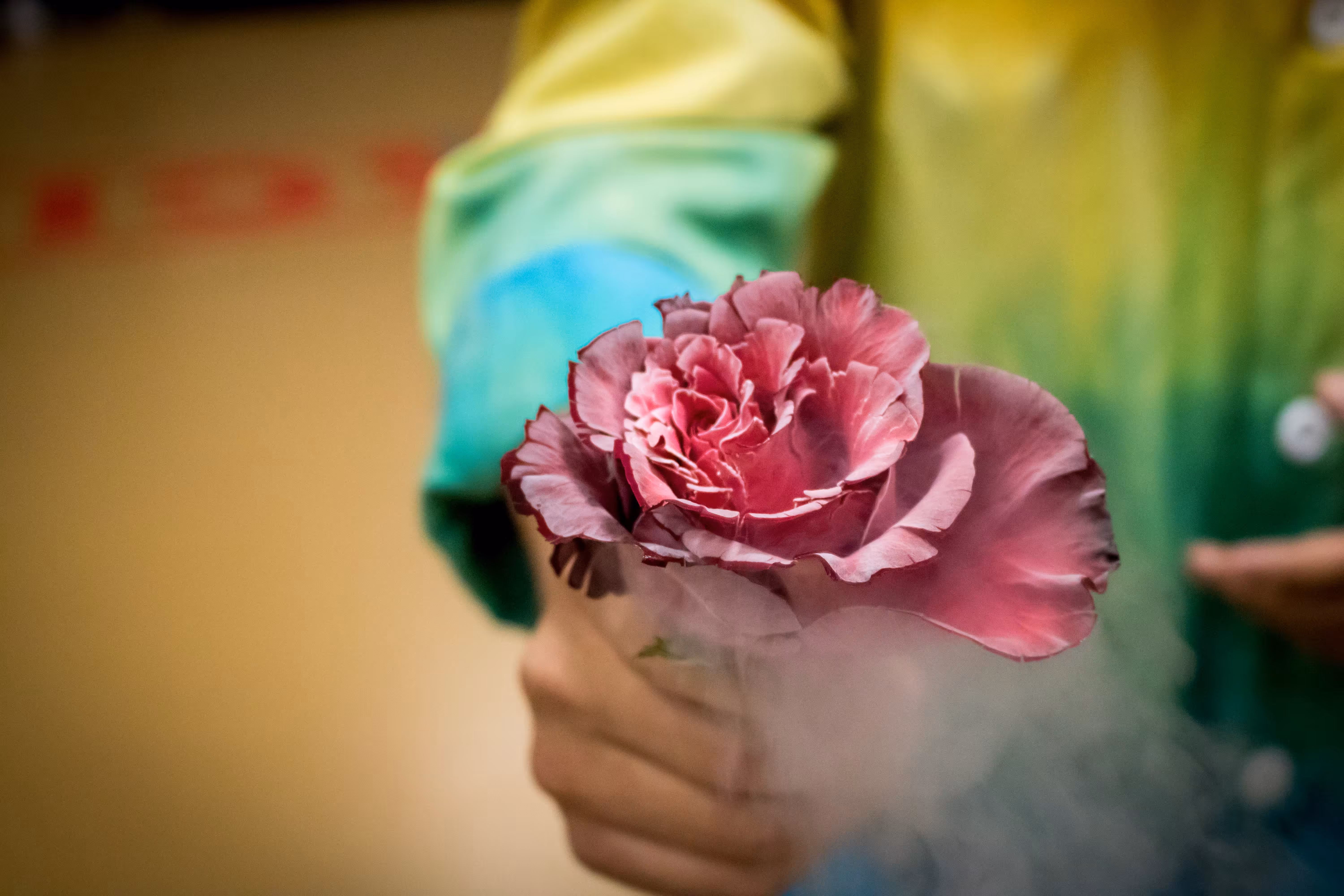 frozen roze