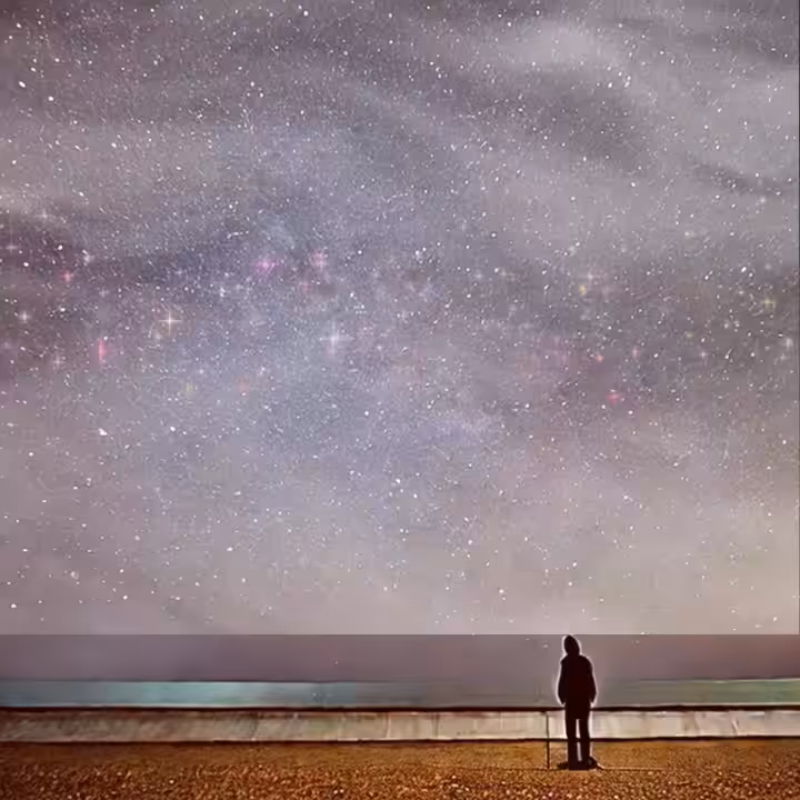 Wonder