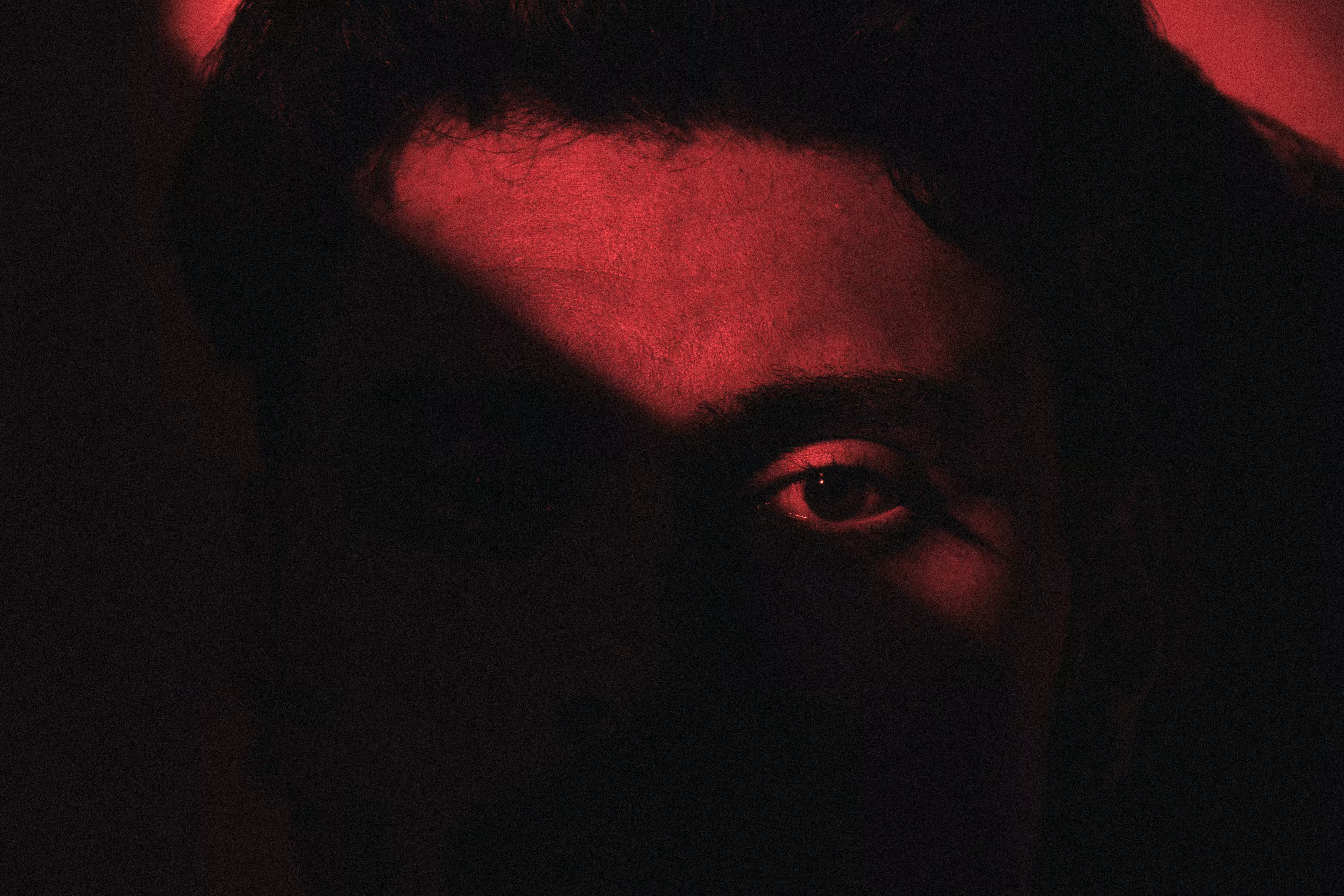 The Truth Lies in Darkness