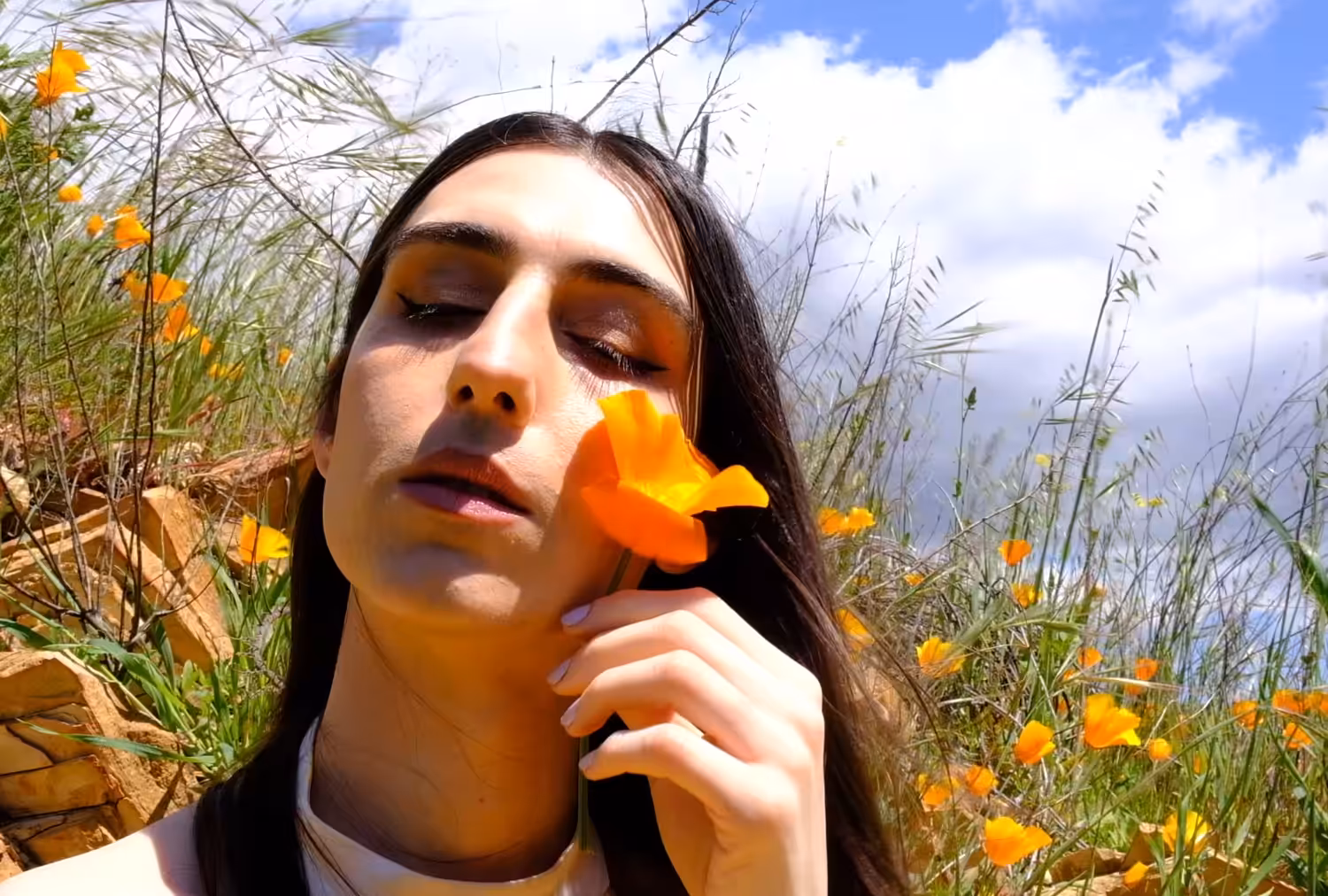 Allure of the Poppy #1