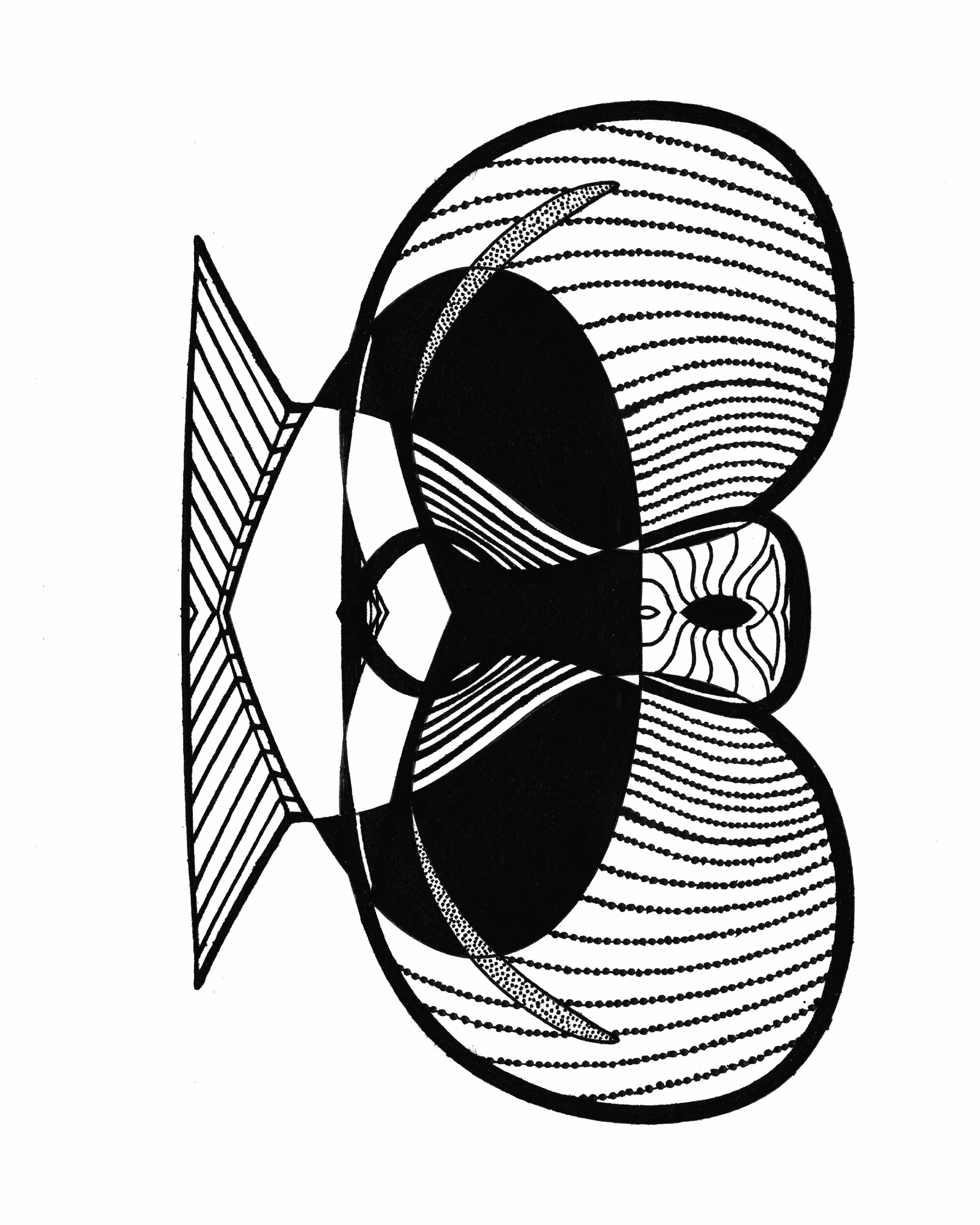 2TNGH4 Bottom Dissection