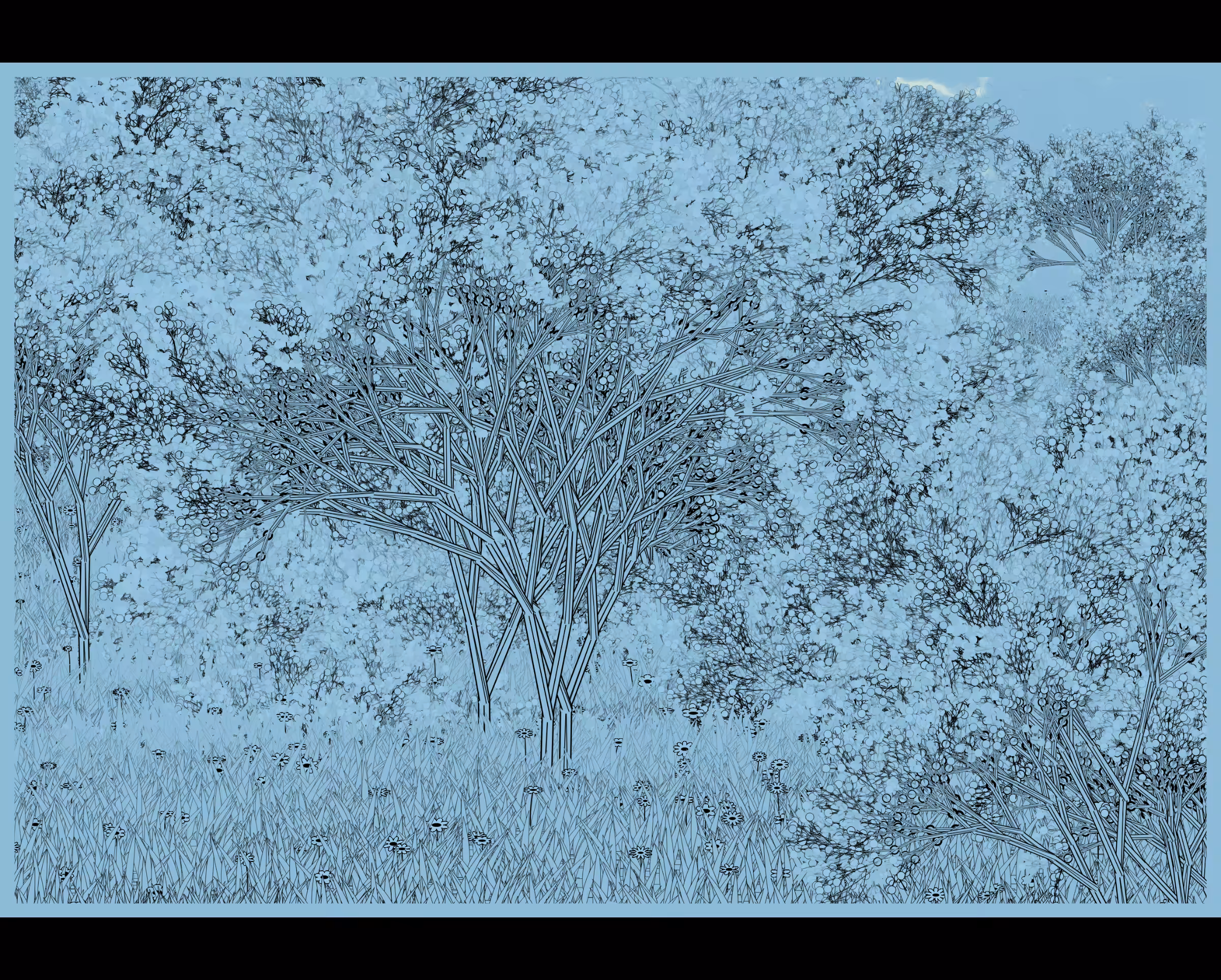 Natural order.chaos #114