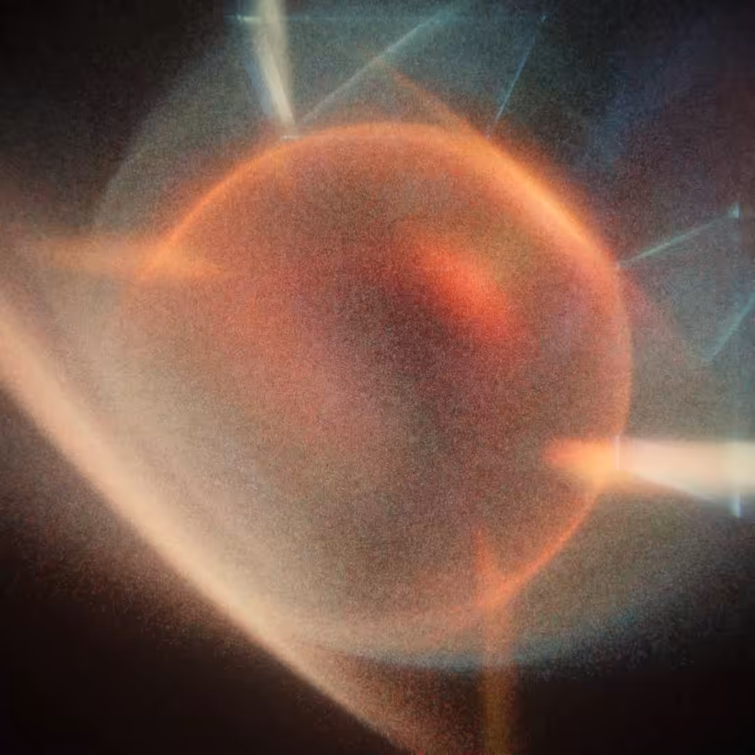 Space Embryo