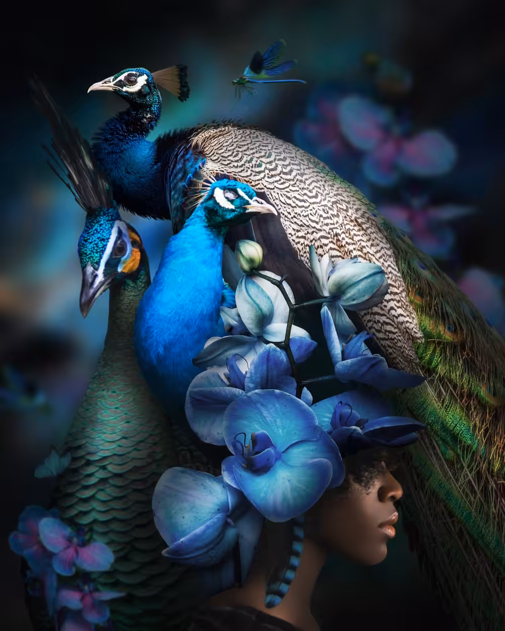 Her Nature - Peacock