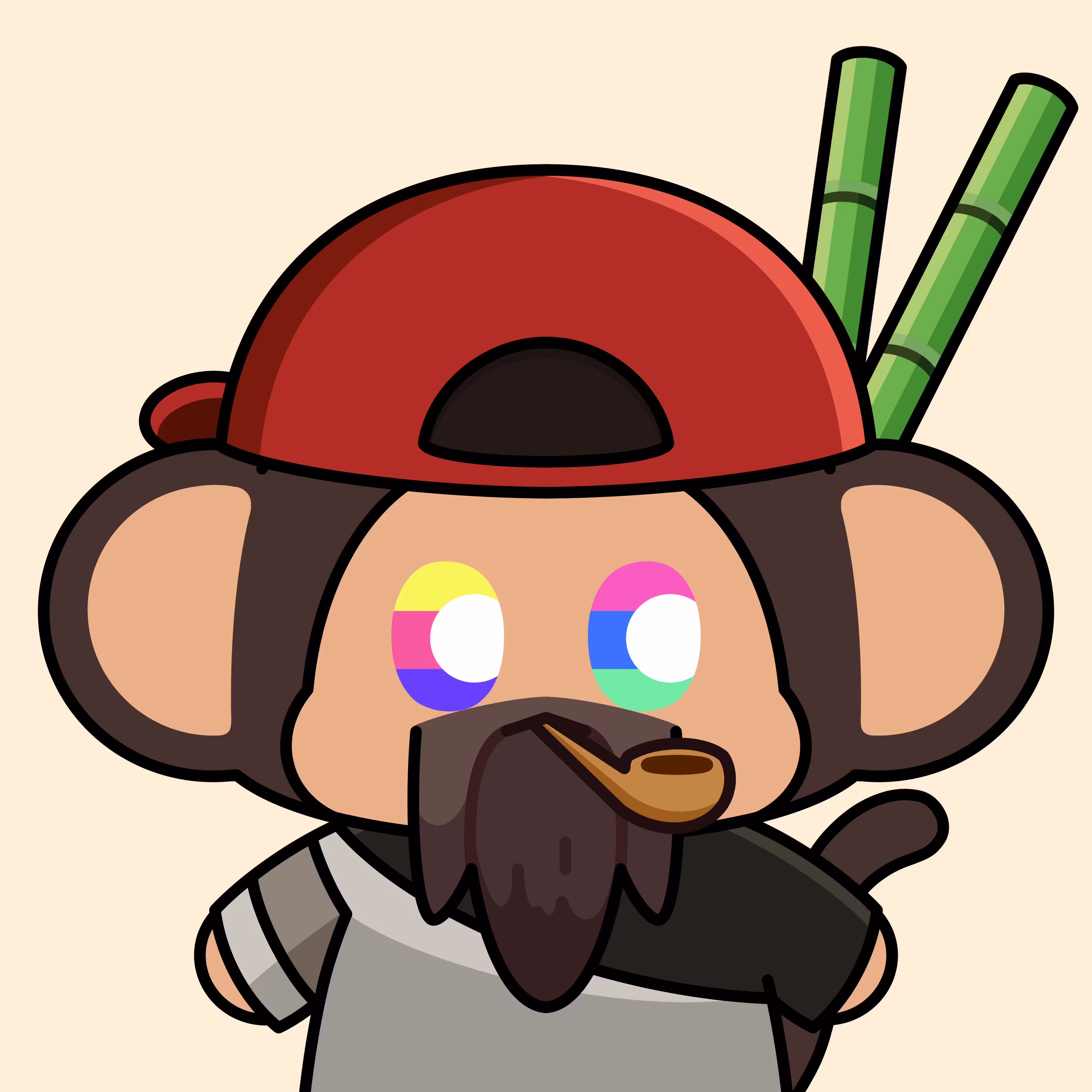 Chimpers: Rachika