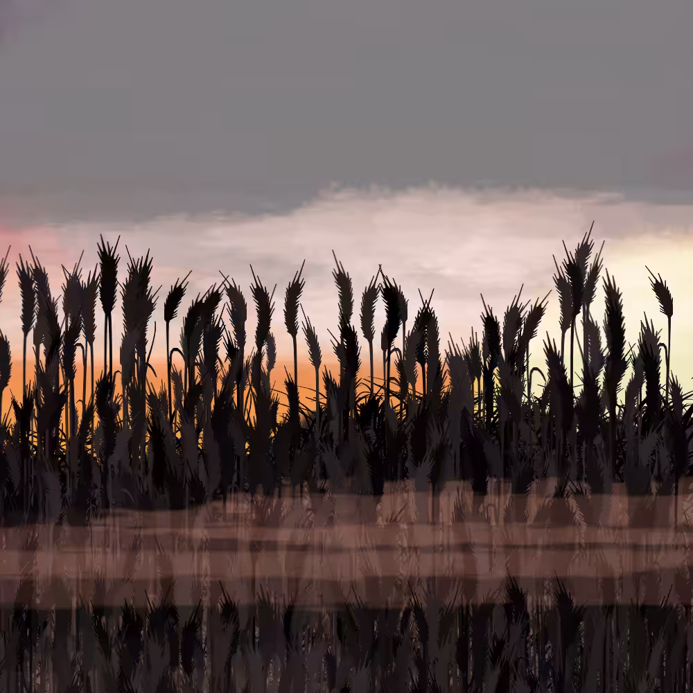 Walk in the field #55