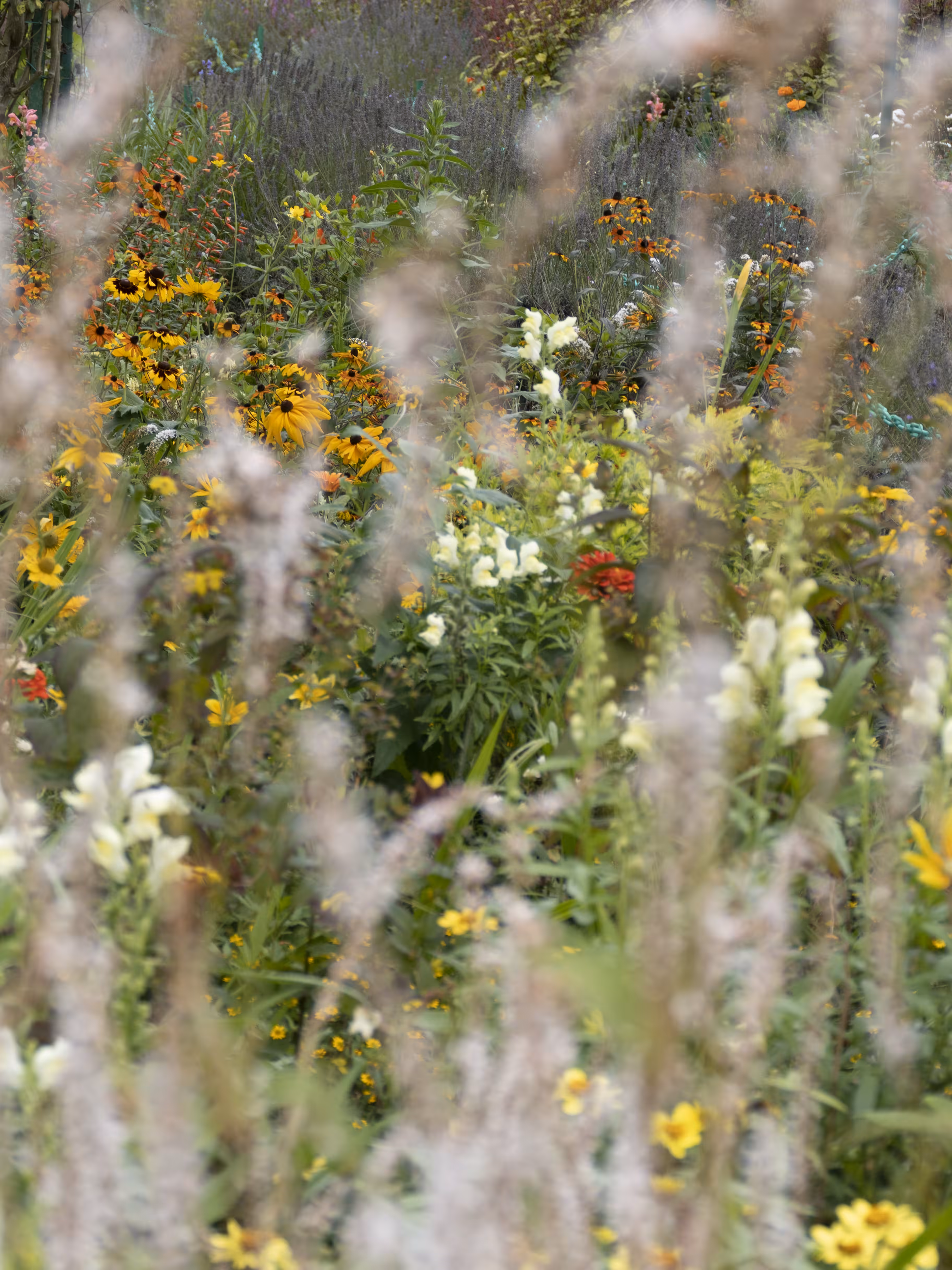 Giverny #18