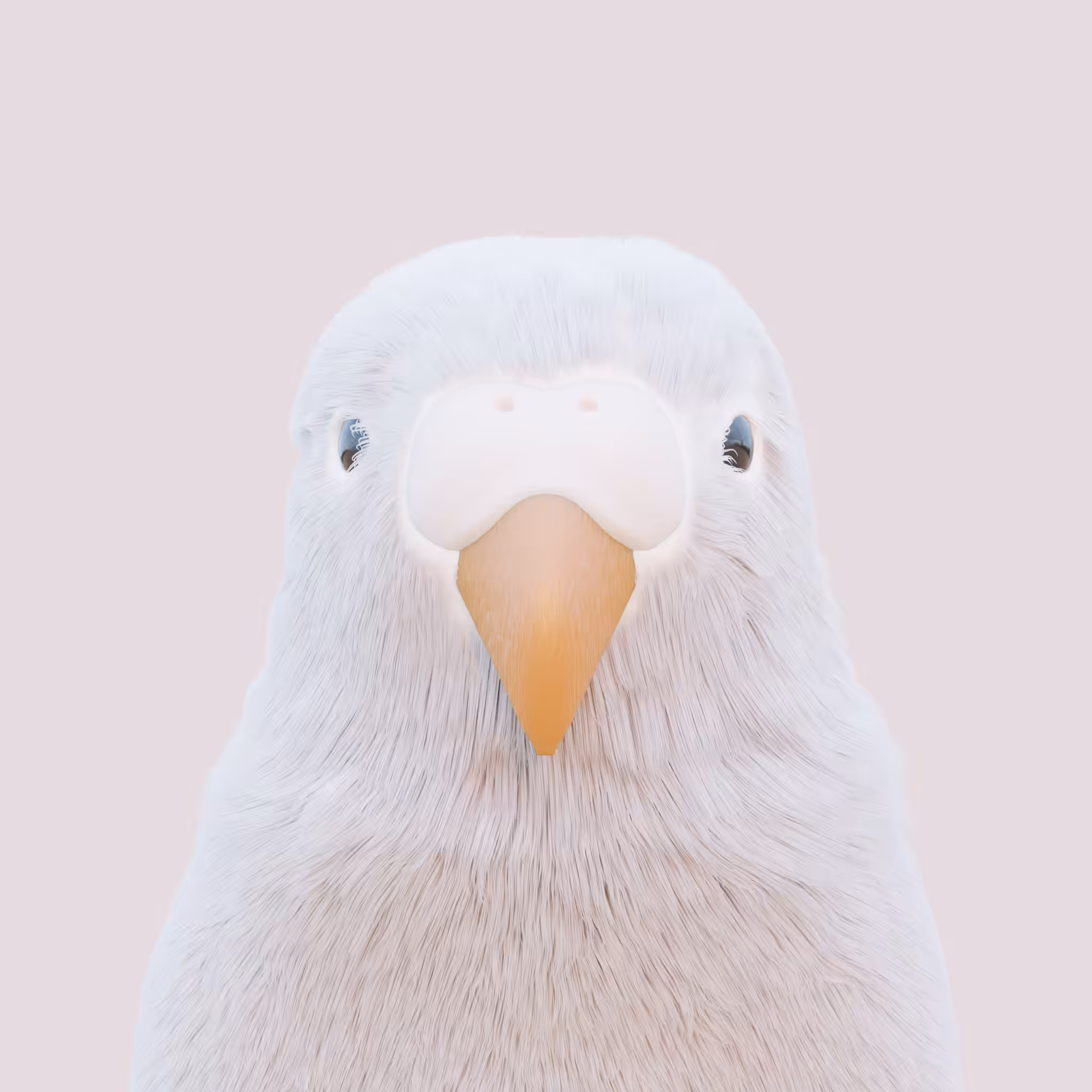 Birdie #03 - White