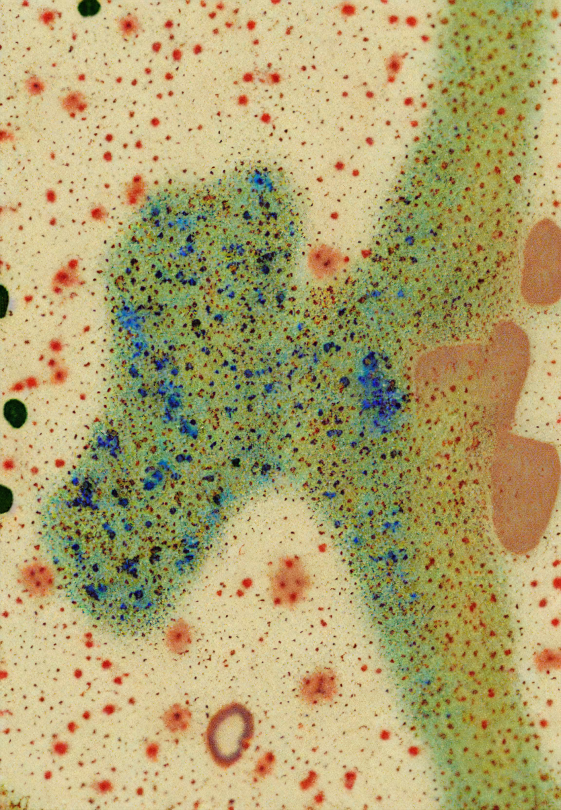 In Vivo, In Vitro, In Silico: Histologia In Silico #169