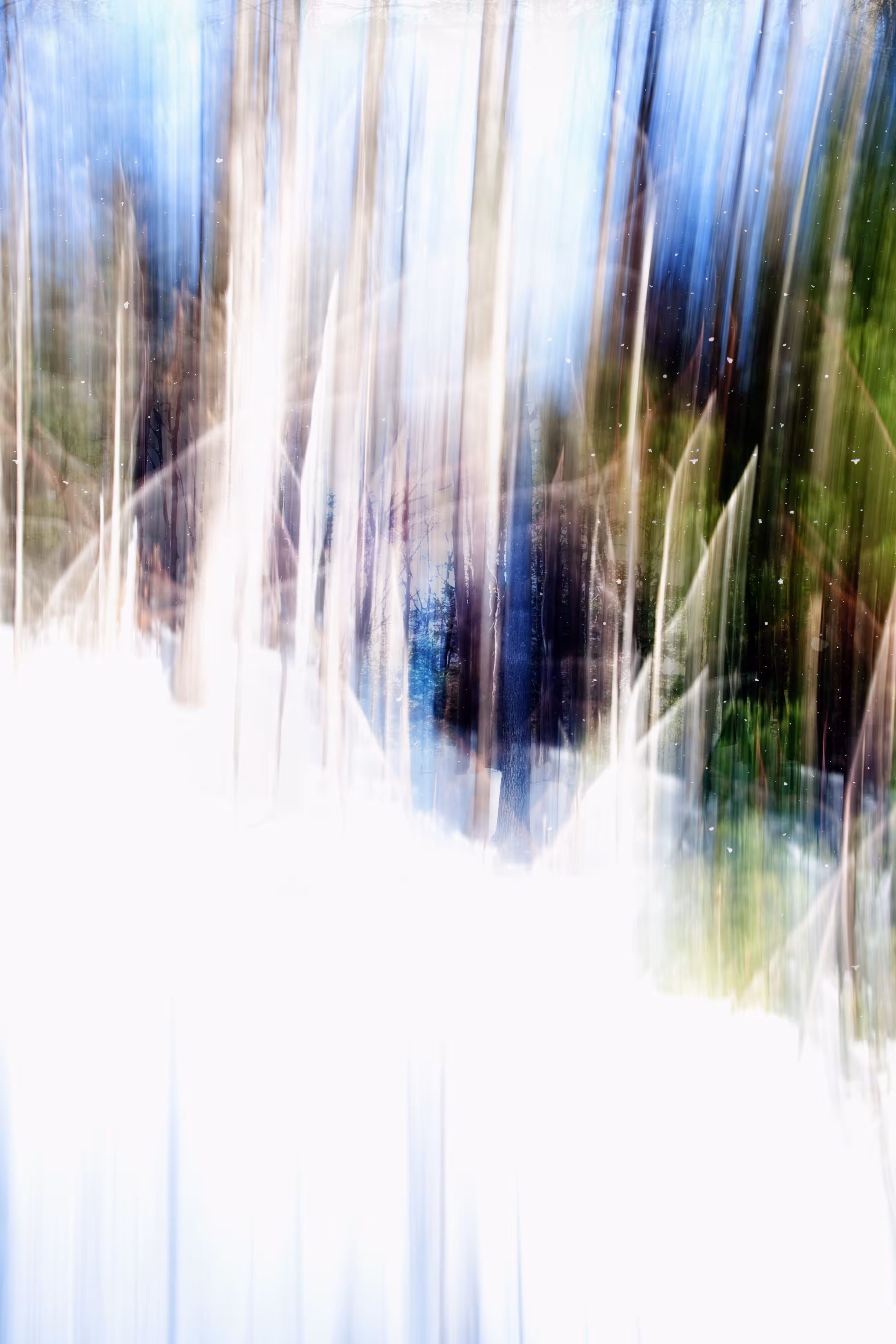 ICM 04
