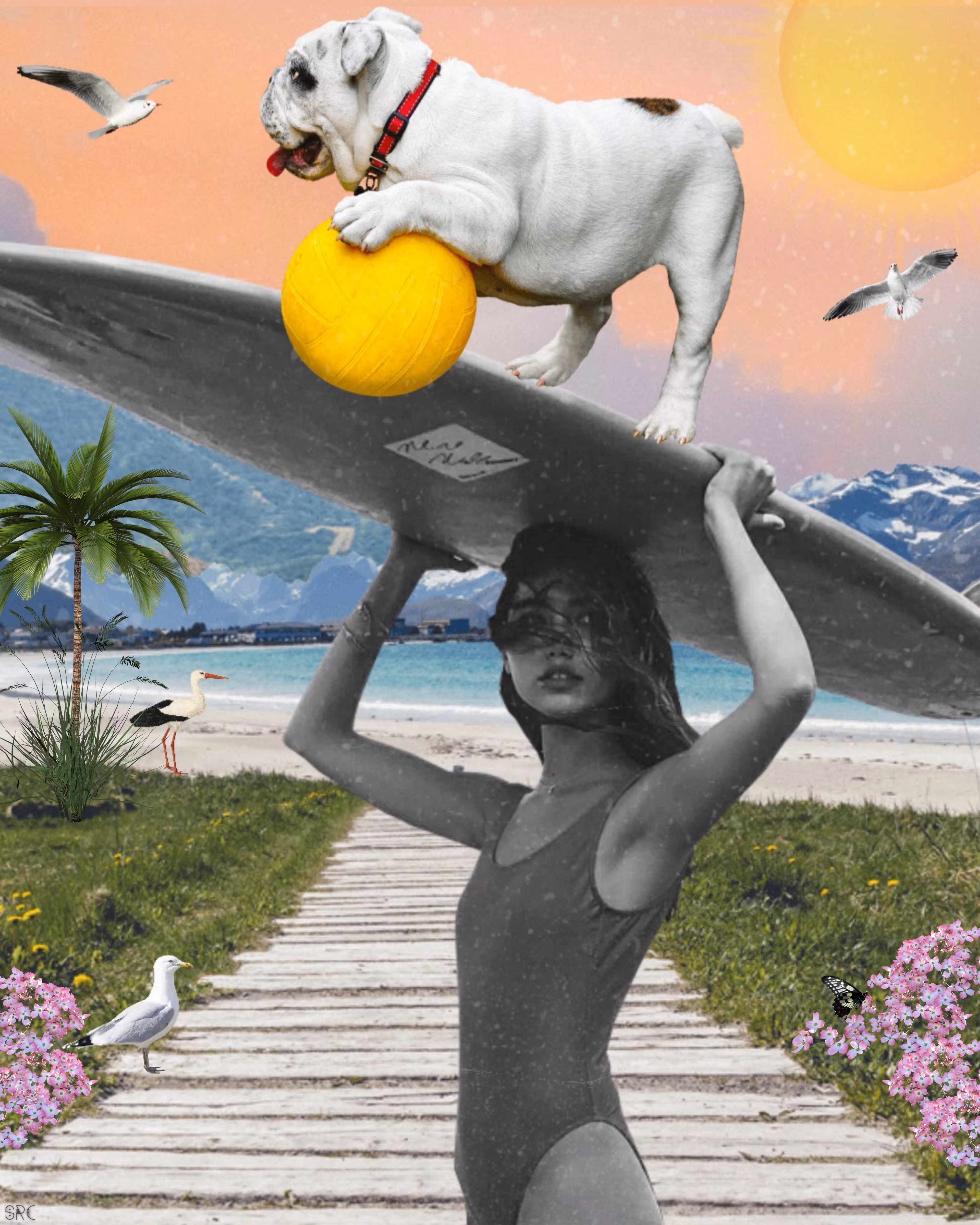 Surf's Up
