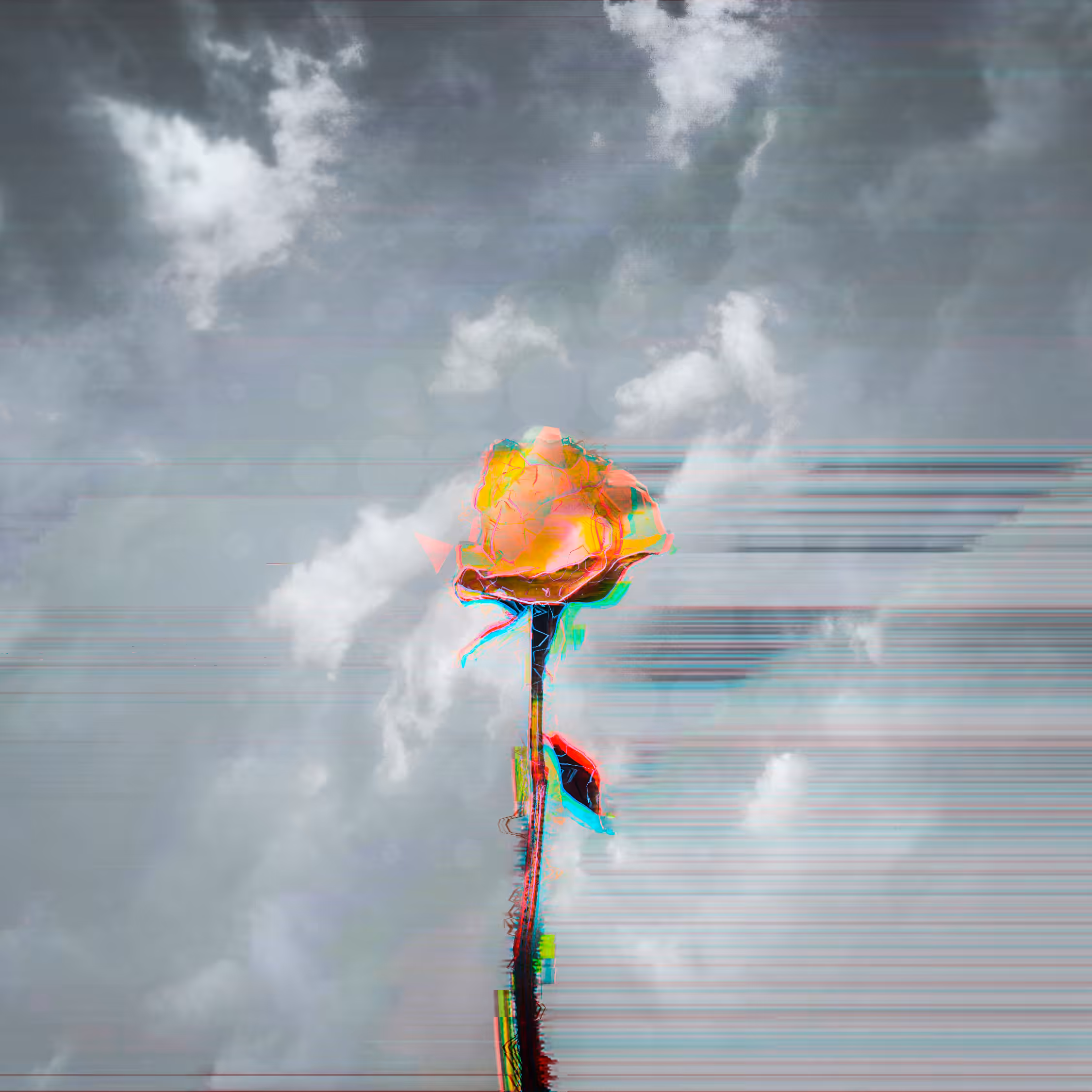 Yellow Rose (Friendship)