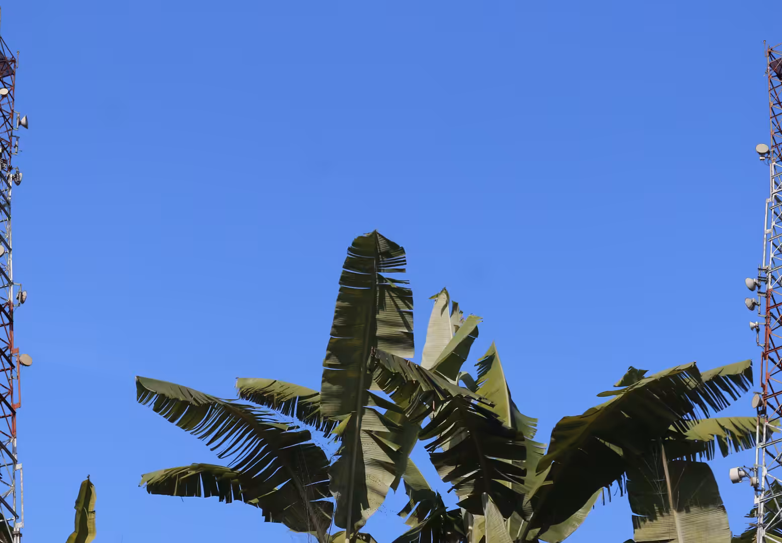 Blue Screen #42