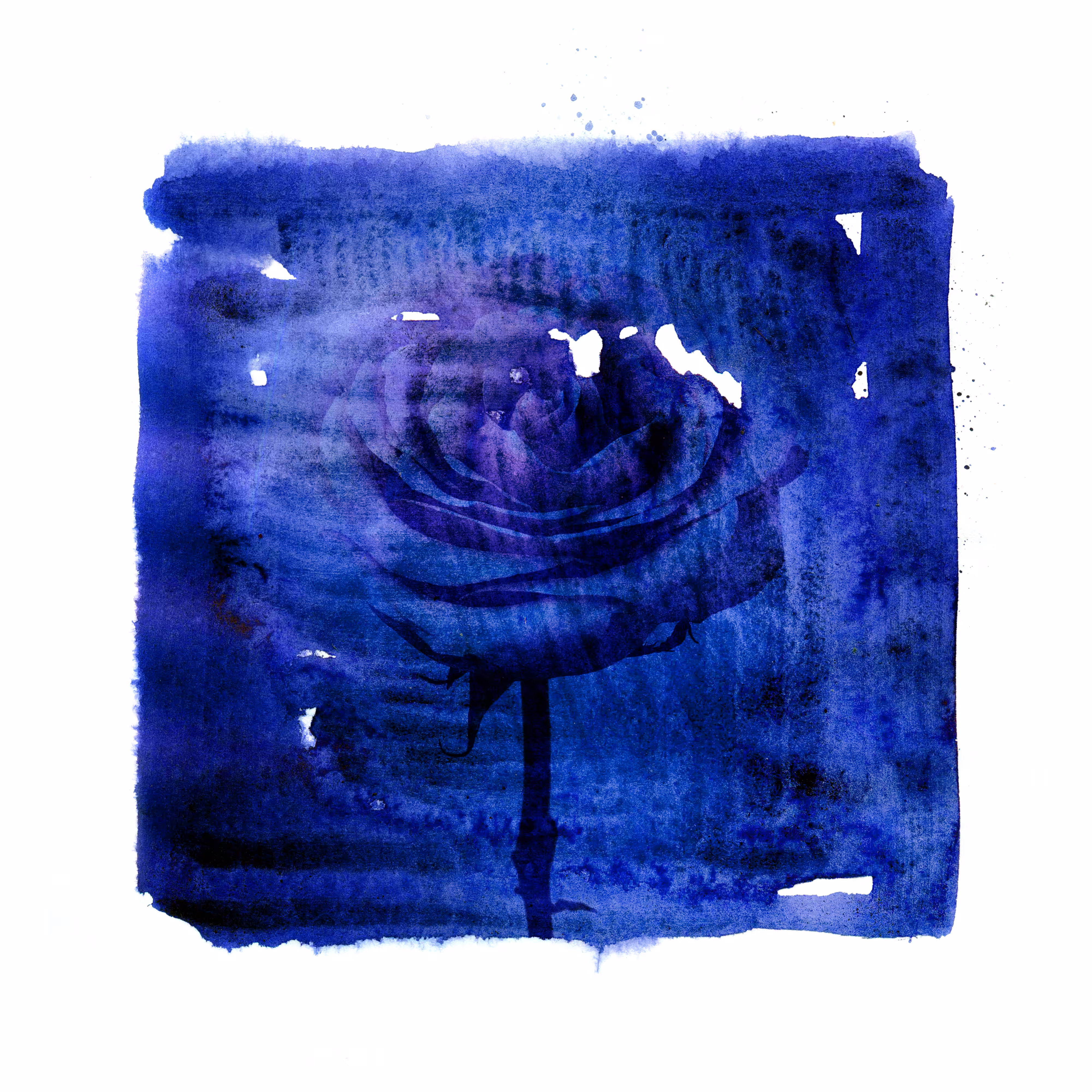 Blues garden #01