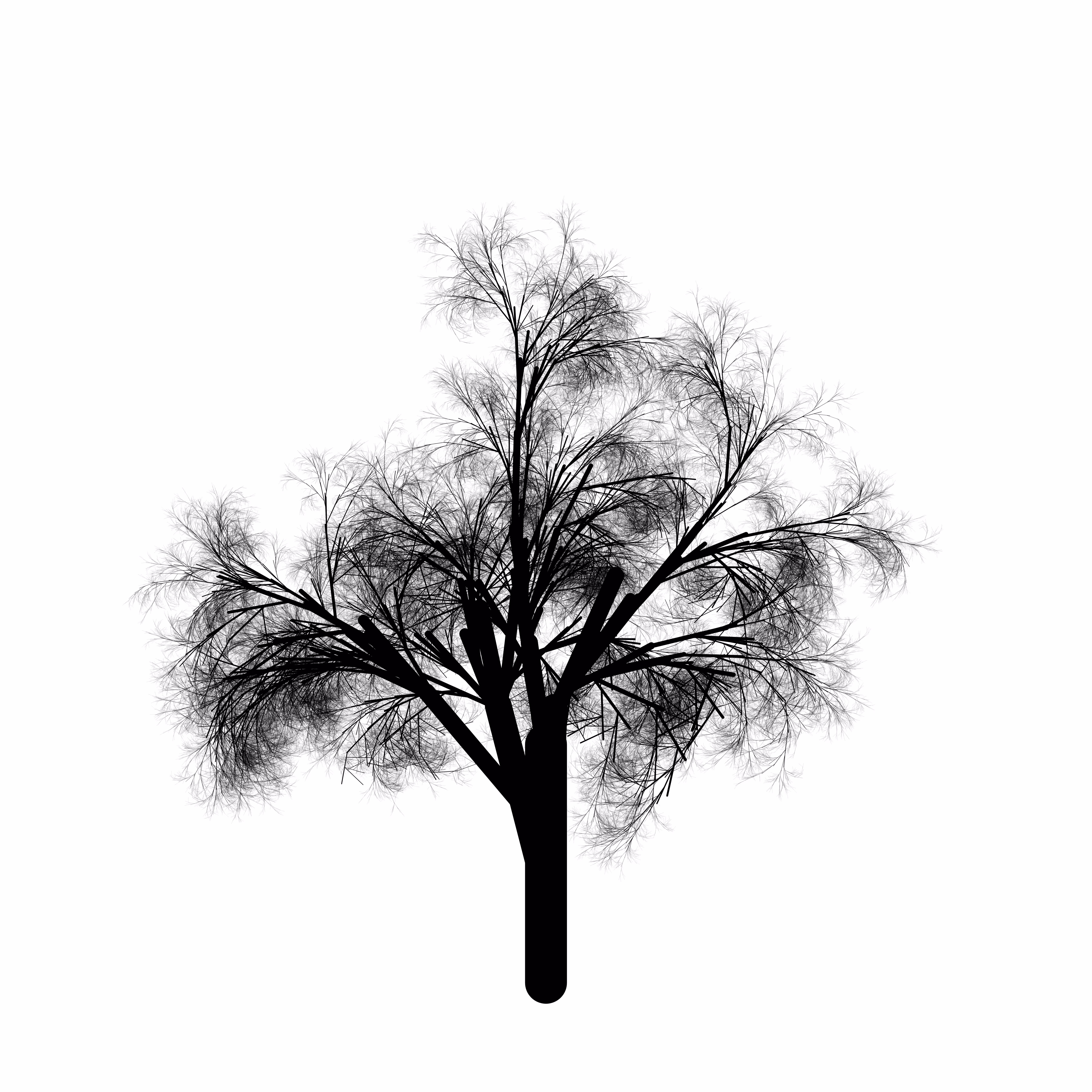 qTrees1 #462