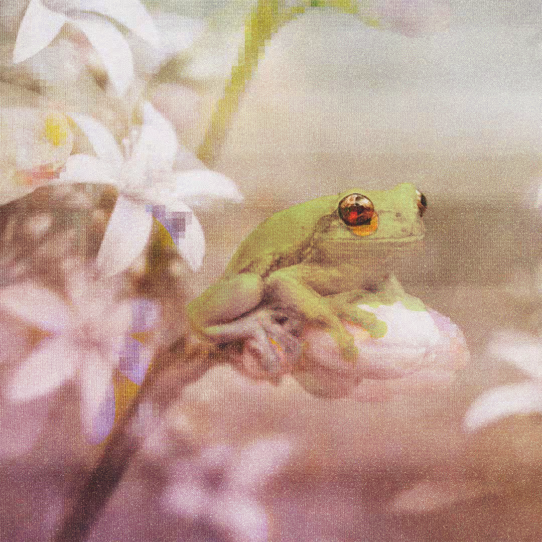 fr0̷g_005
