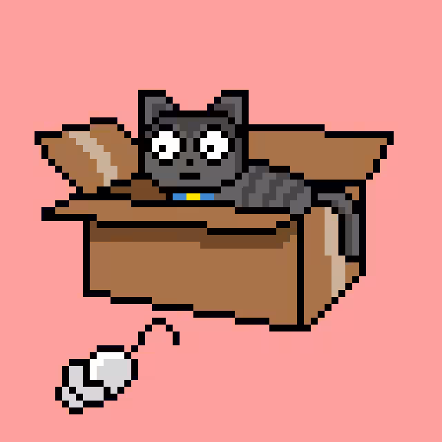 cat box 12