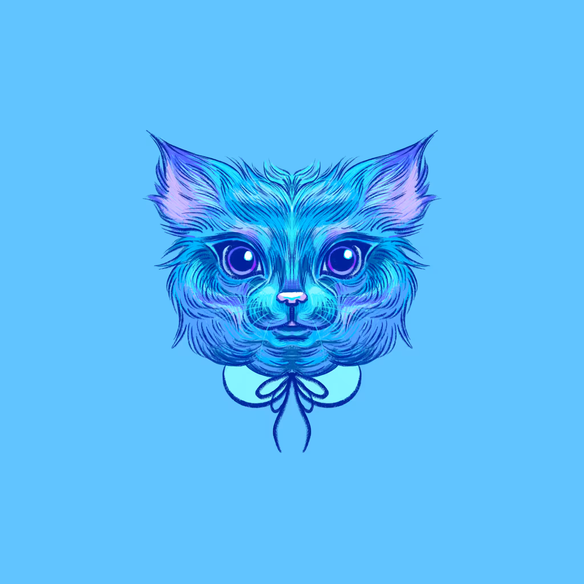 Cat 003