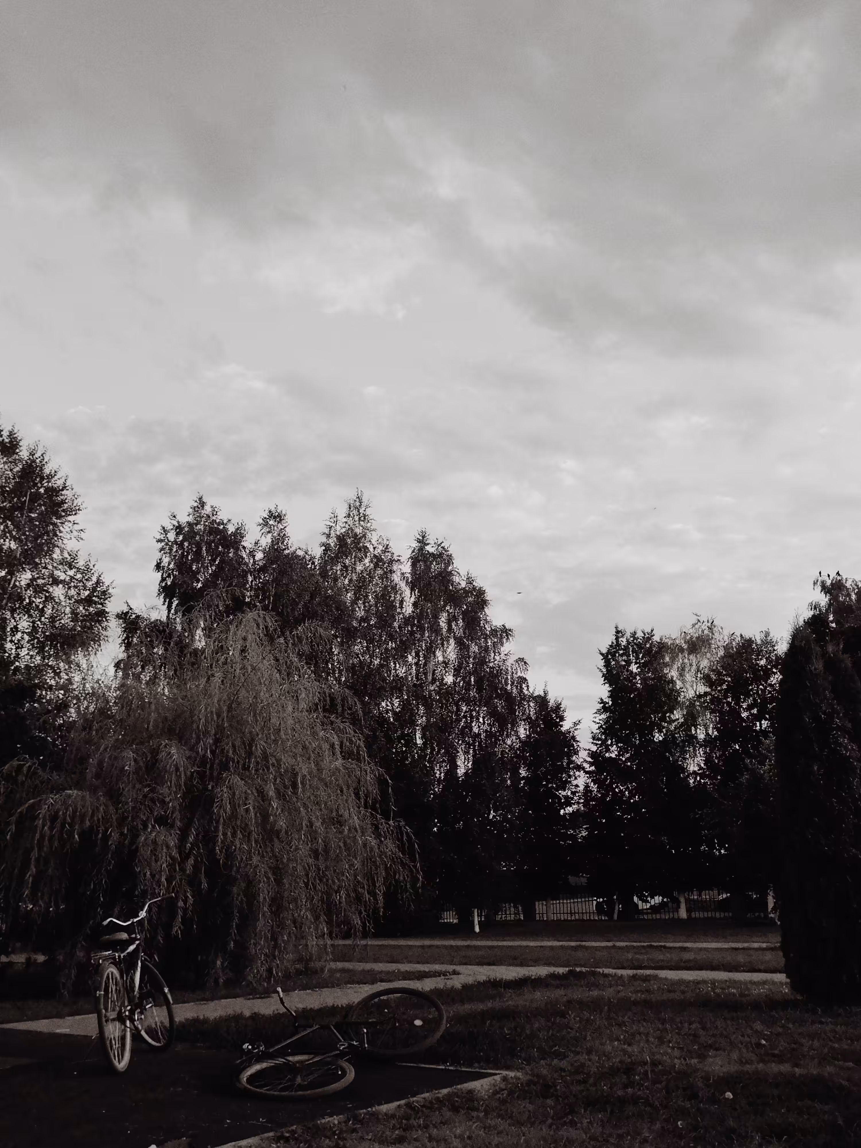 Grey sky