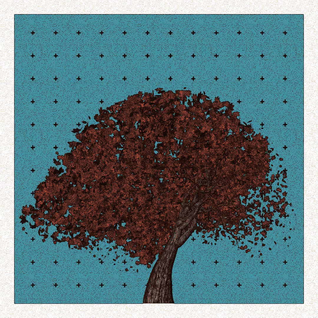 _argania[primaria] #31