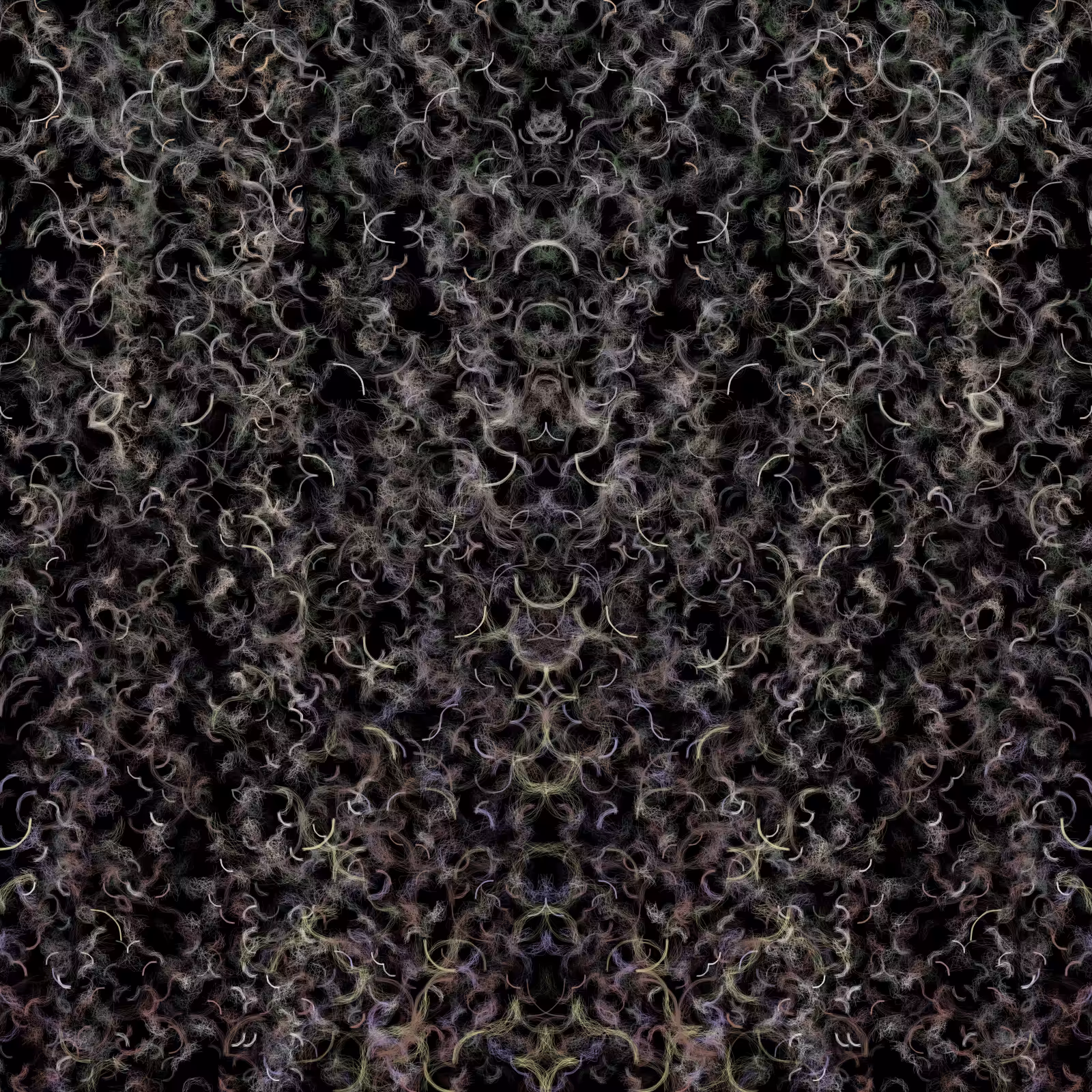 Define, Divide, Divine #33