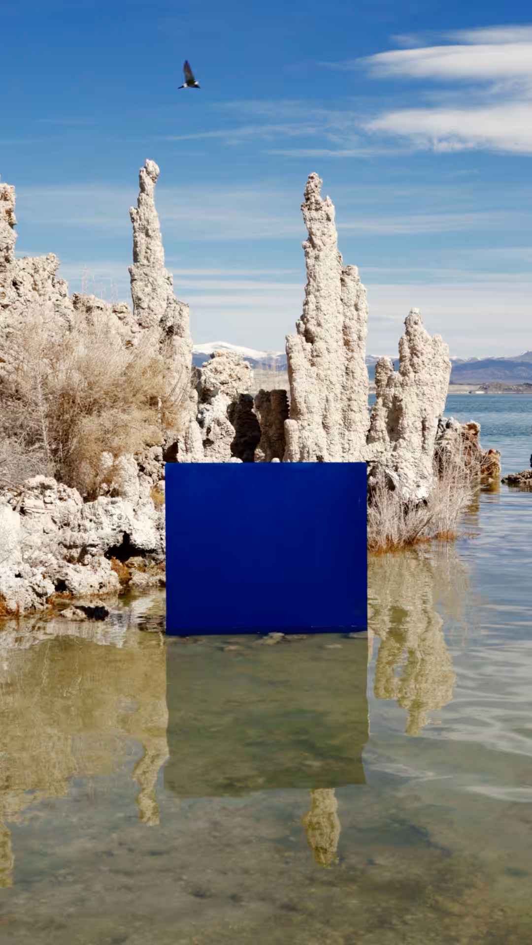 The Portals: Kinesis - Tufa, 03.27.2024, Mono County, CA