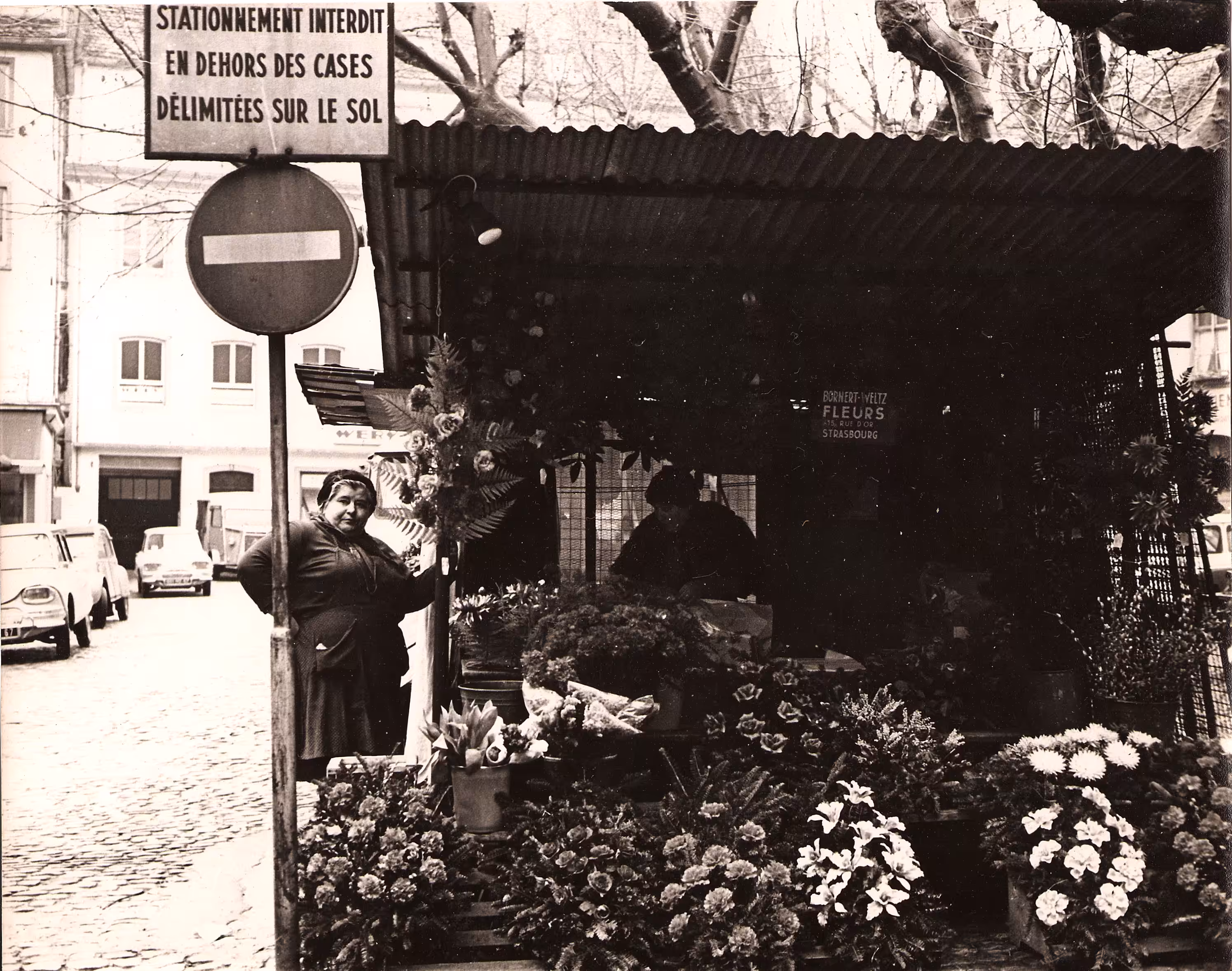 Flower Lady