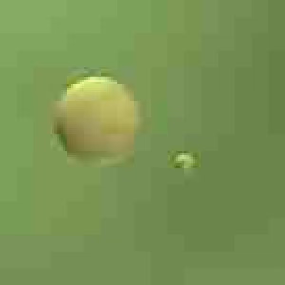 Orbits: Orbit 283993399