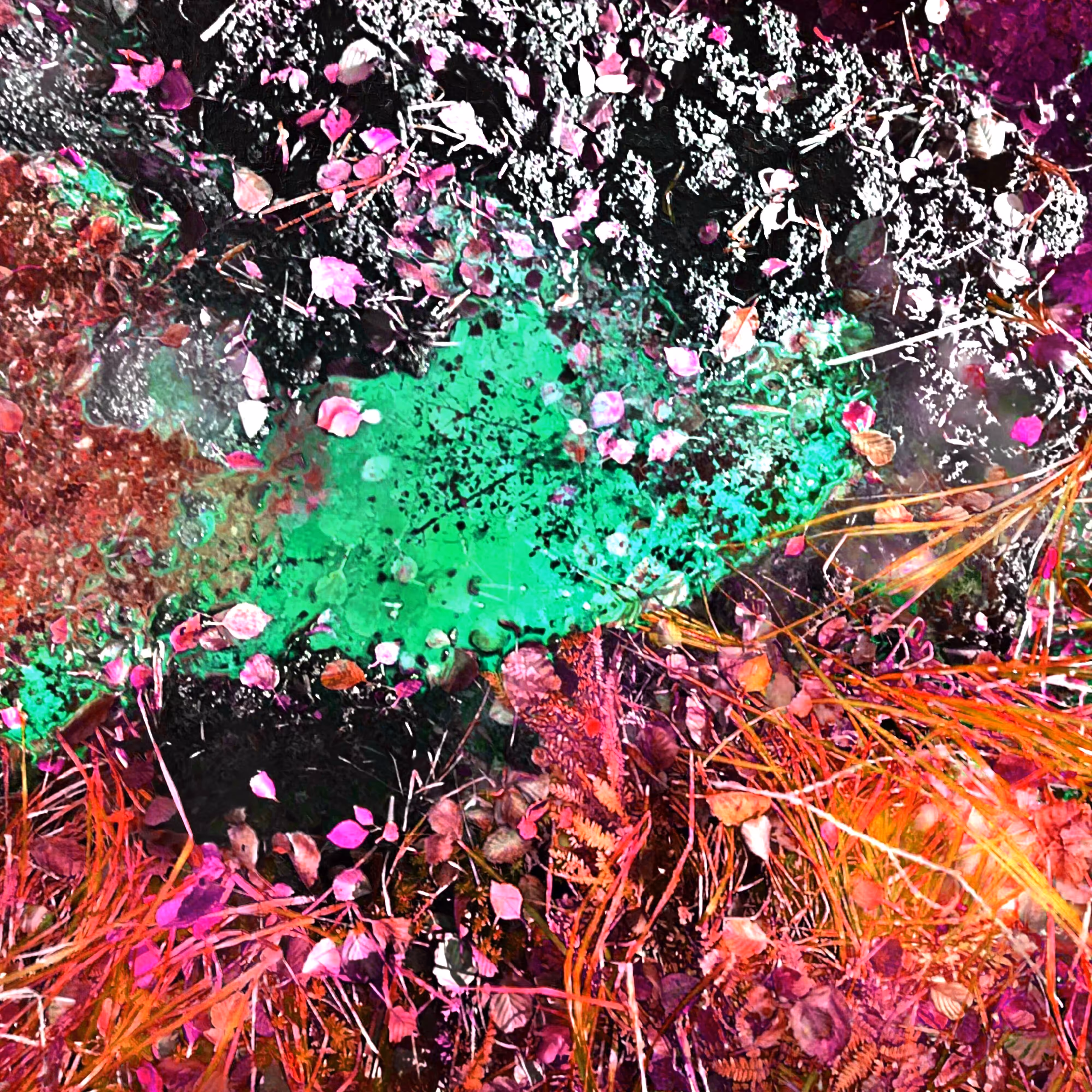 Autonomous Forest Plots: Plot u329hvhg3