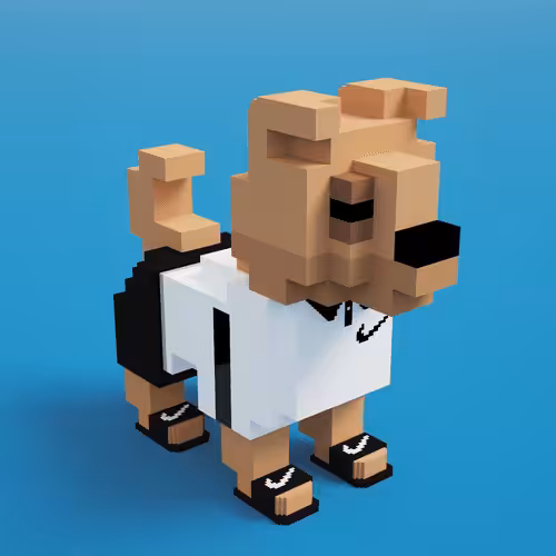 DogeBits 3d Collabs: OkkaLabs x DogeBits 3d