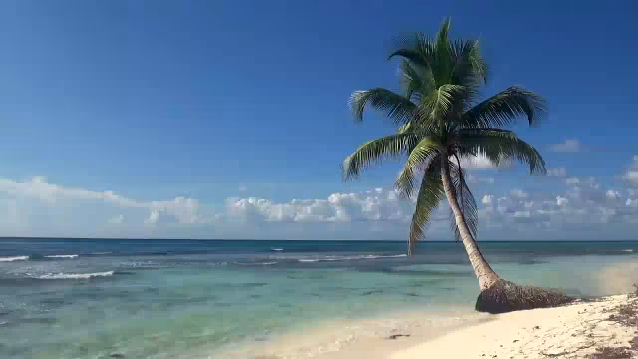 Trouble In Paradise