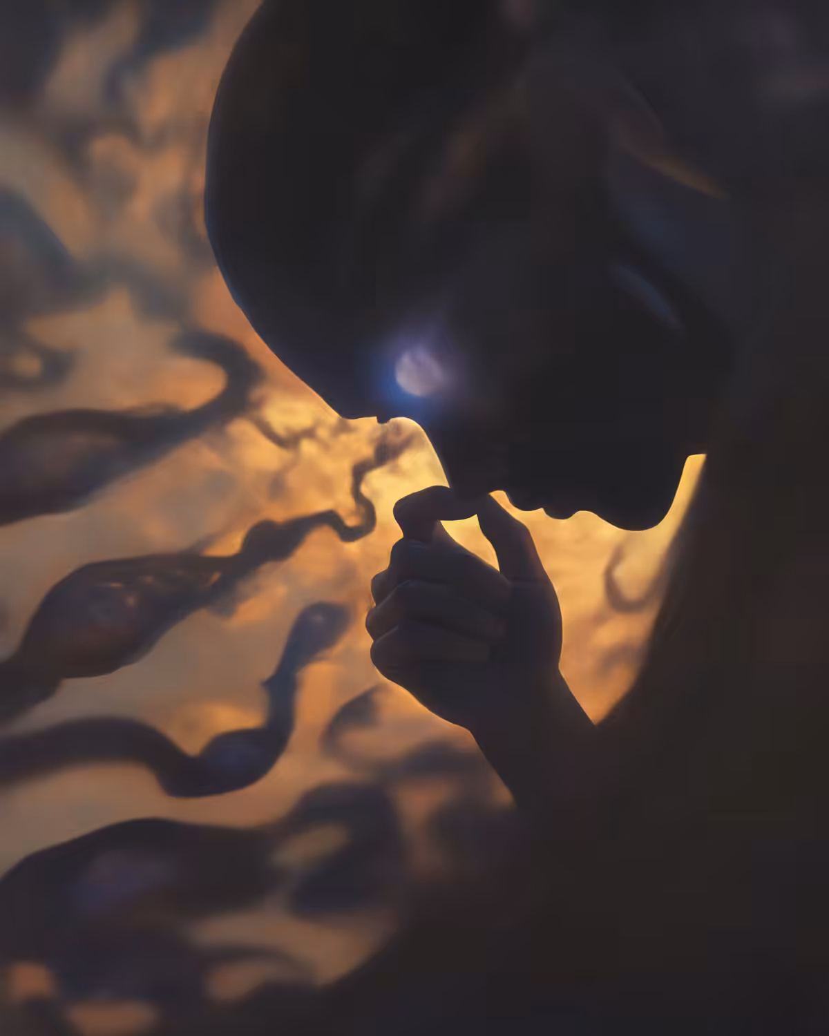 Visions awakened
