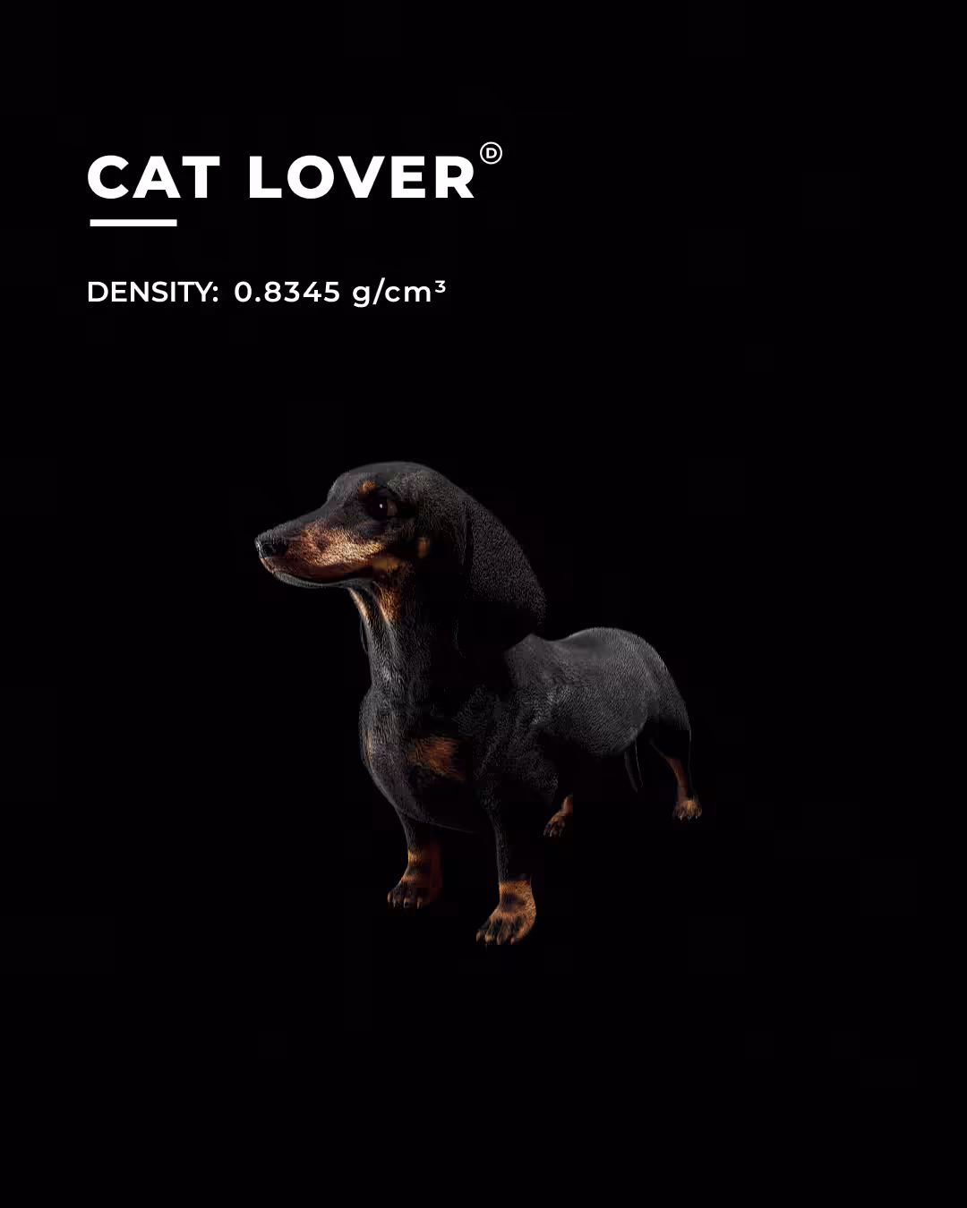 Deflatables: CAT LOVER - DEFLATABLE #007