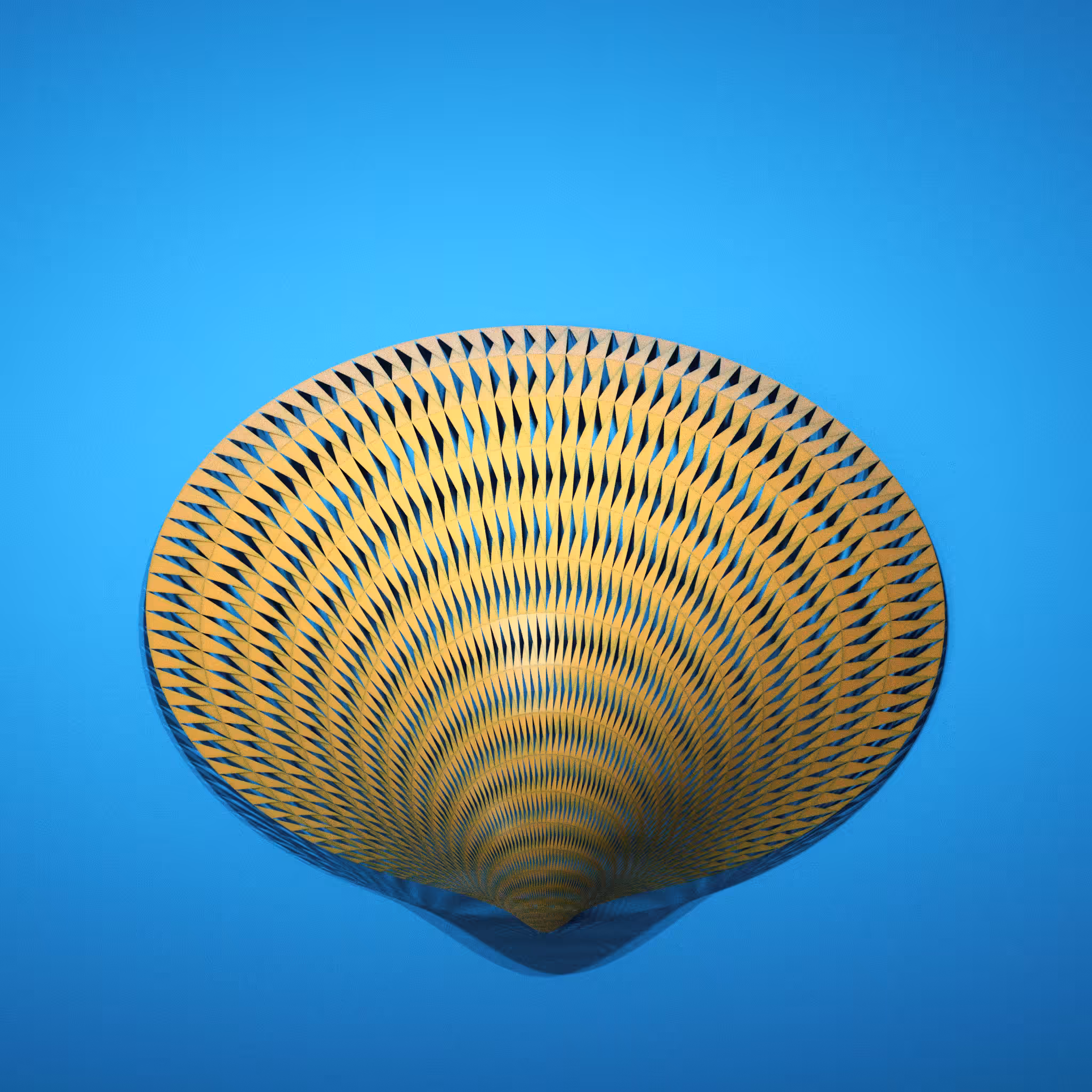 Glycymeris 1