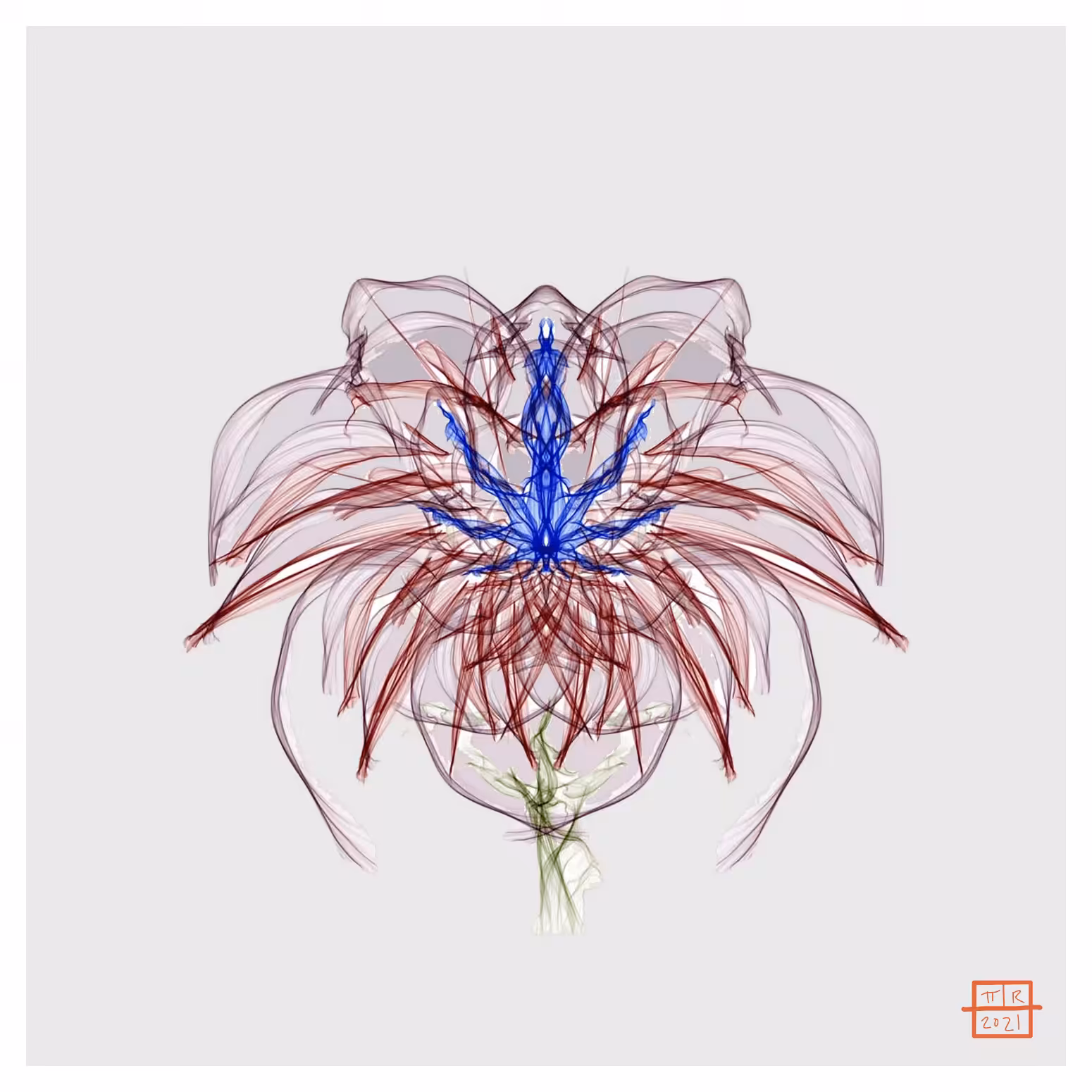 Purple Chrysanthemum