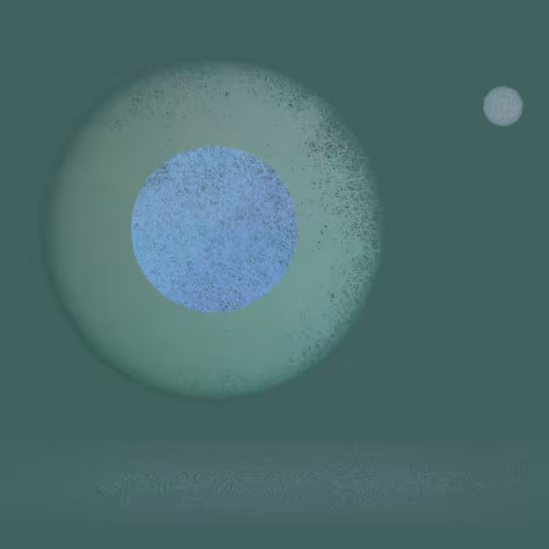 Orbit #54
