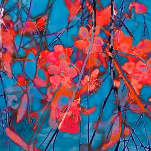 Night Flowers 
