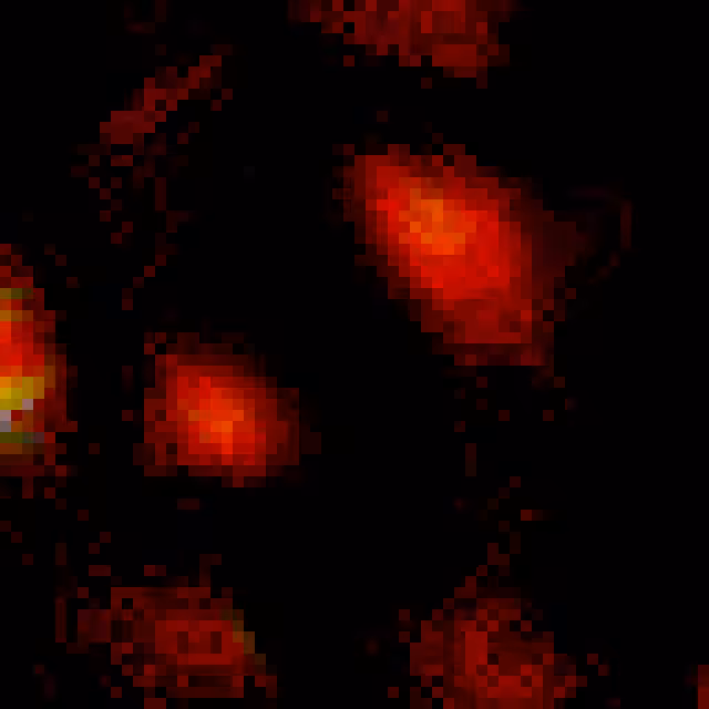 Relic 0xC4A5B8