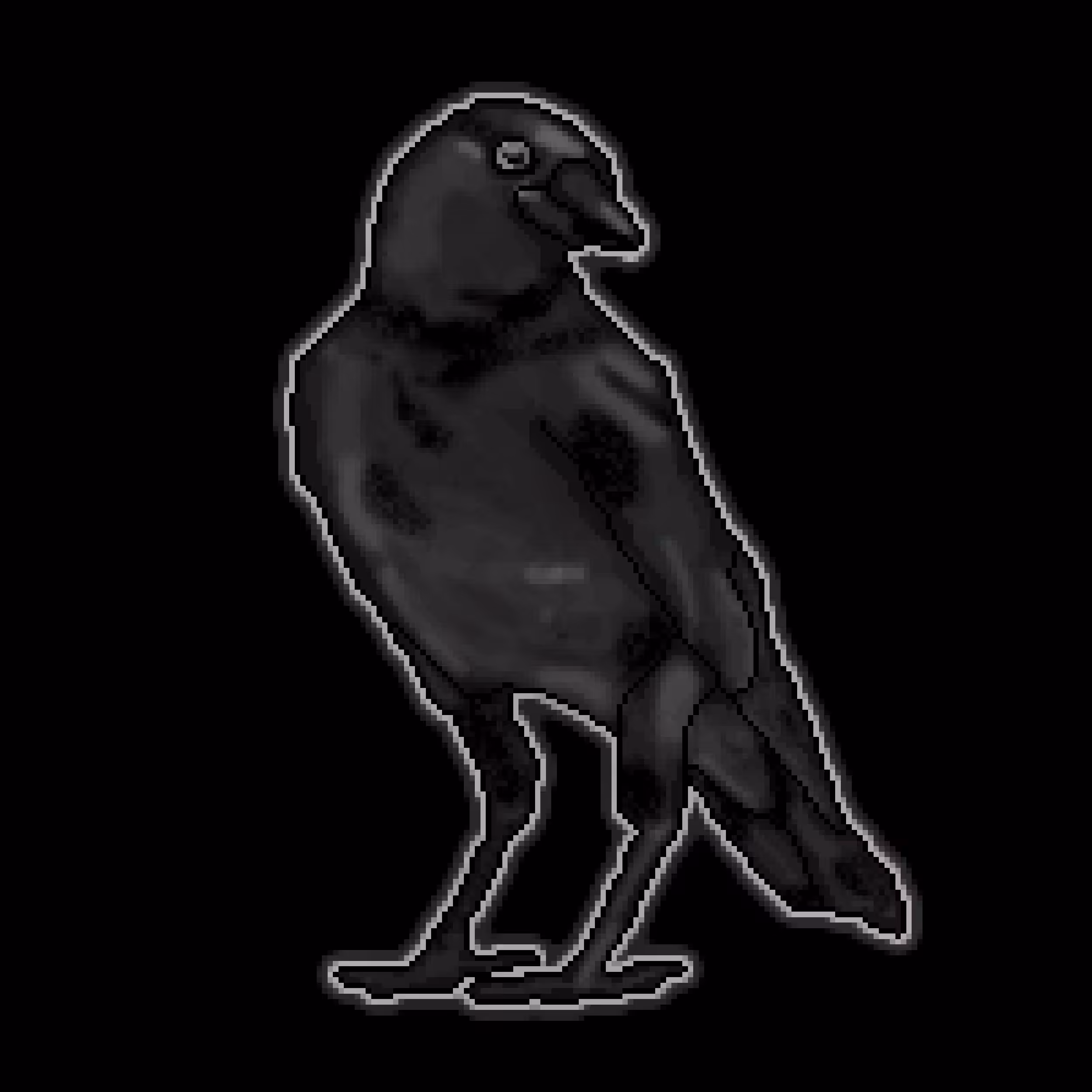 Poe