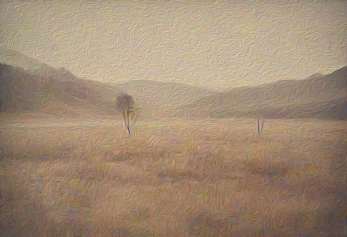Faded Signals #8