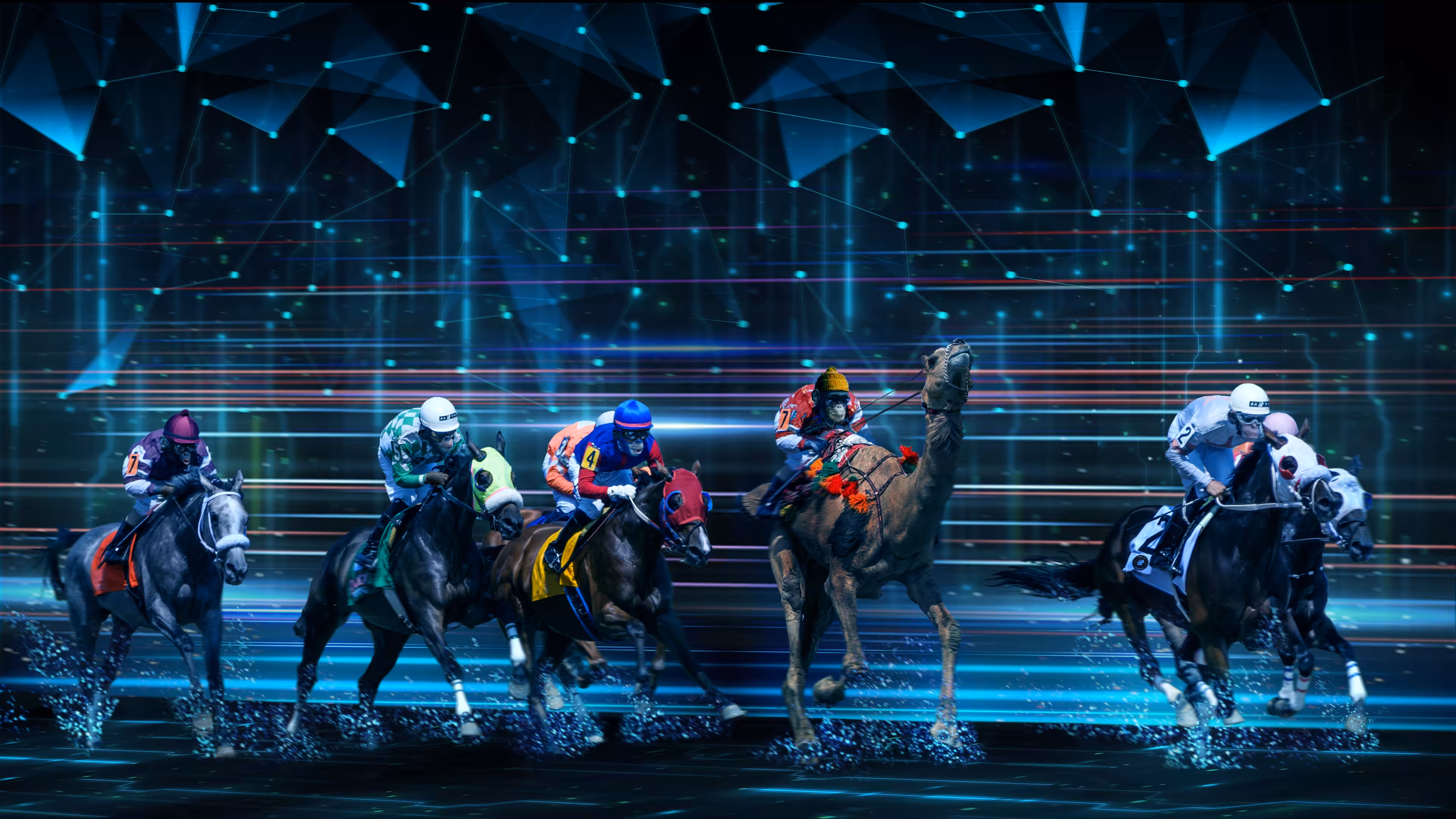 Thoroughbreds vs Arabian Camels