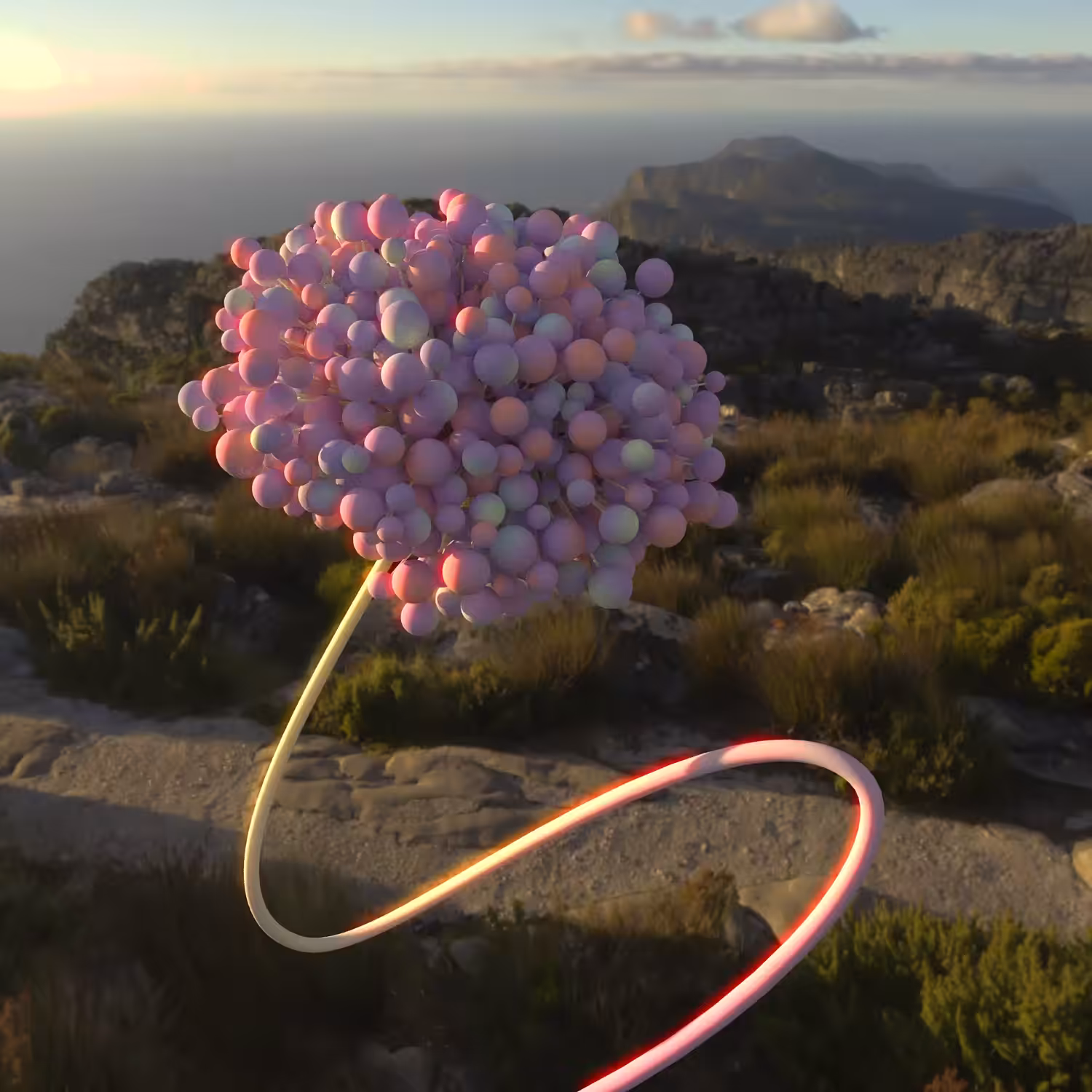 Blossoming