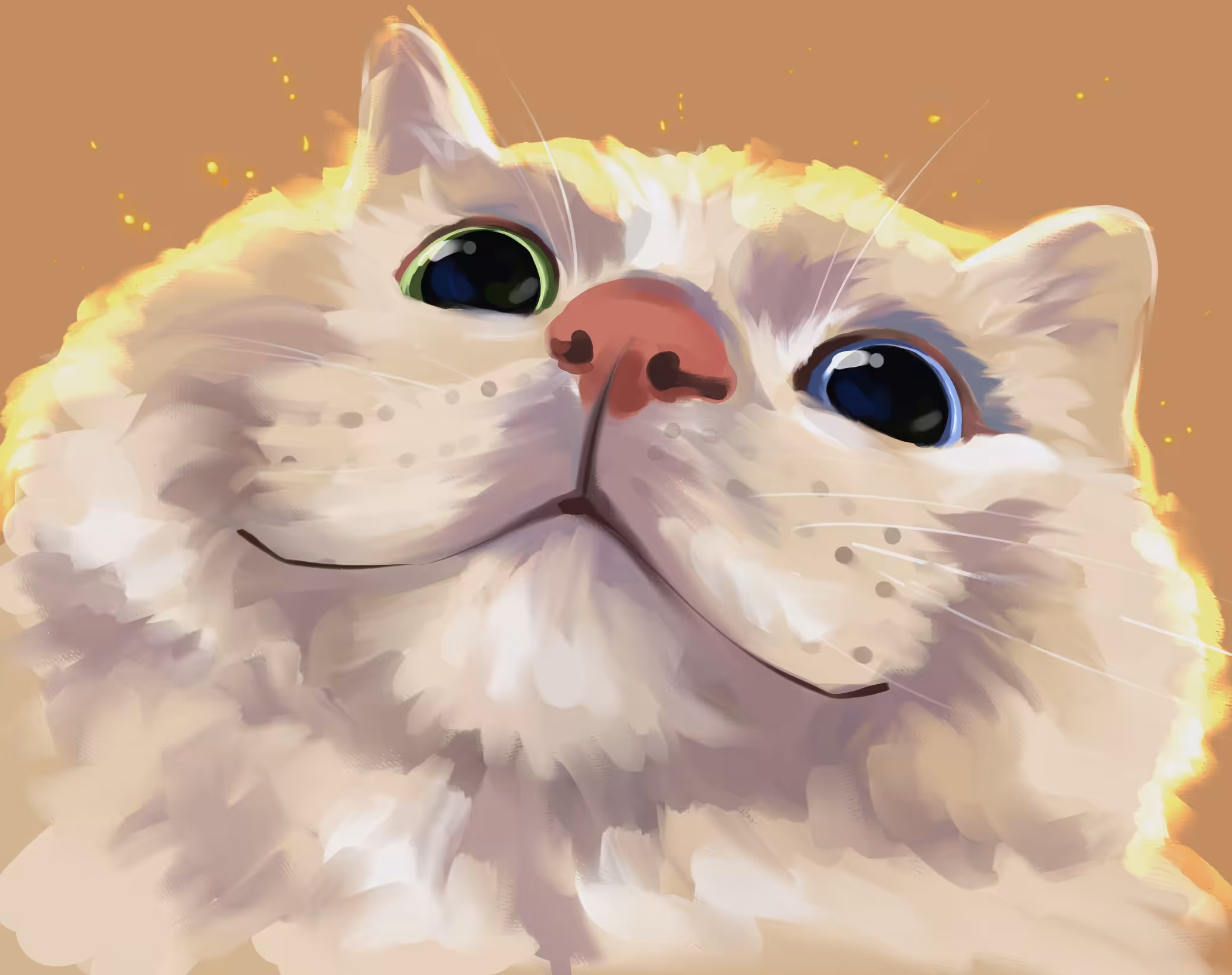 Lily VIPFUNNY Cat