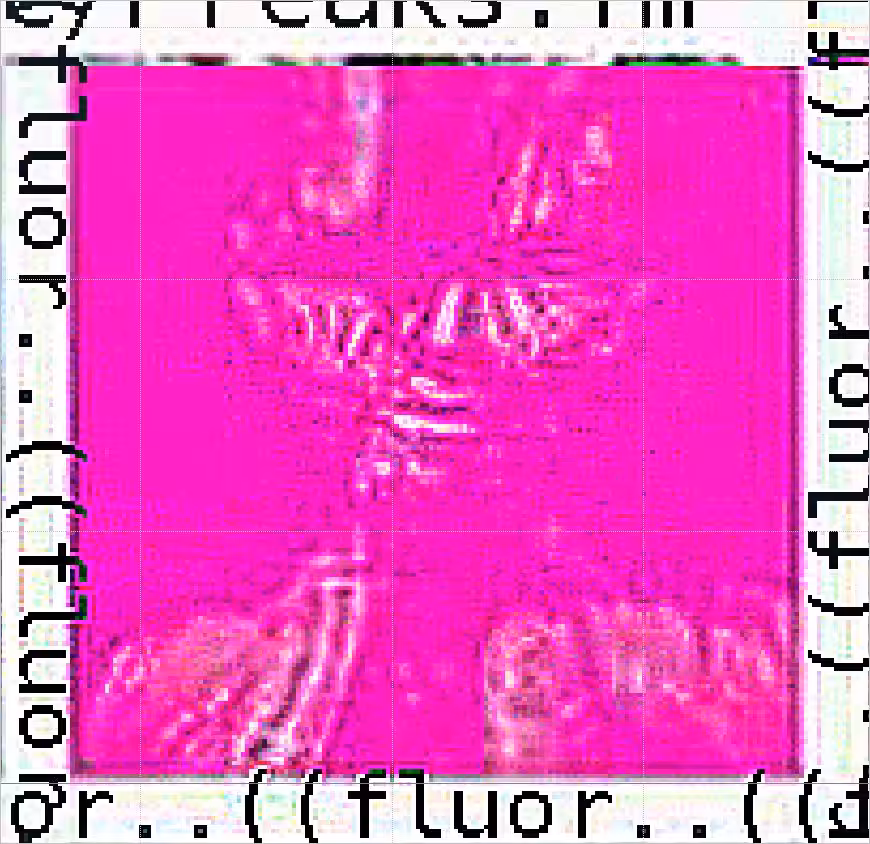 MICROGRAM 60/144 (The Fractagram CRXPTOᐰRT Display Series)