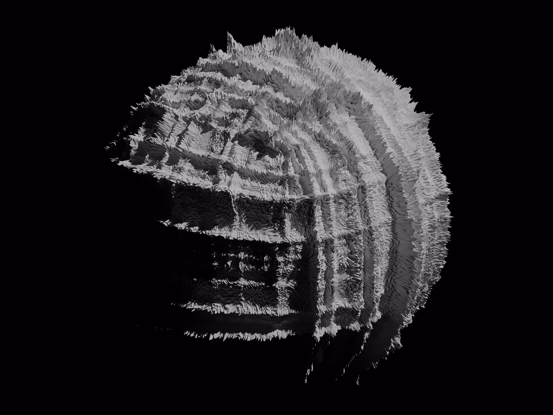 PHYSARUM NOISE PLANETESIMALS #1