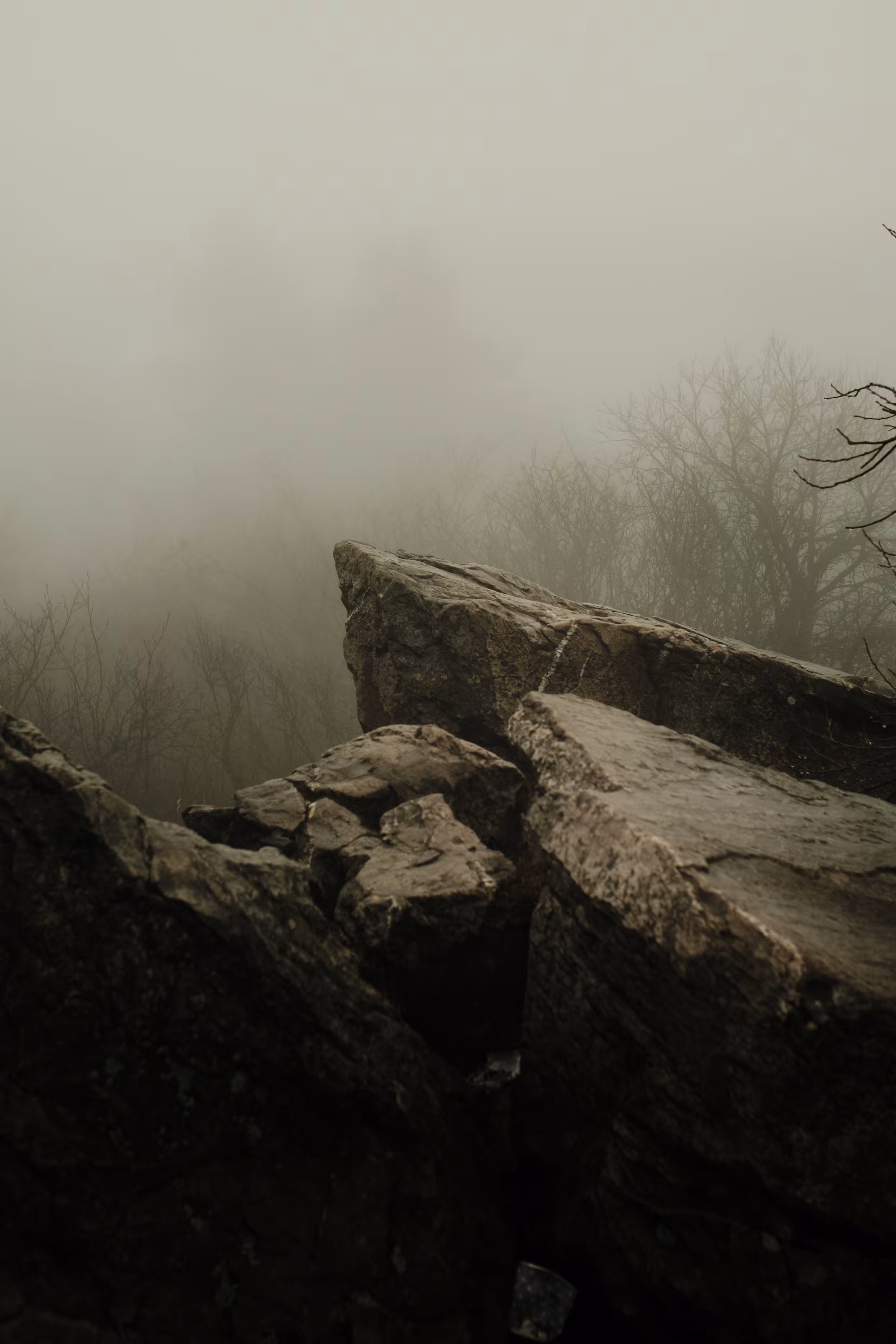 Touch of a rock