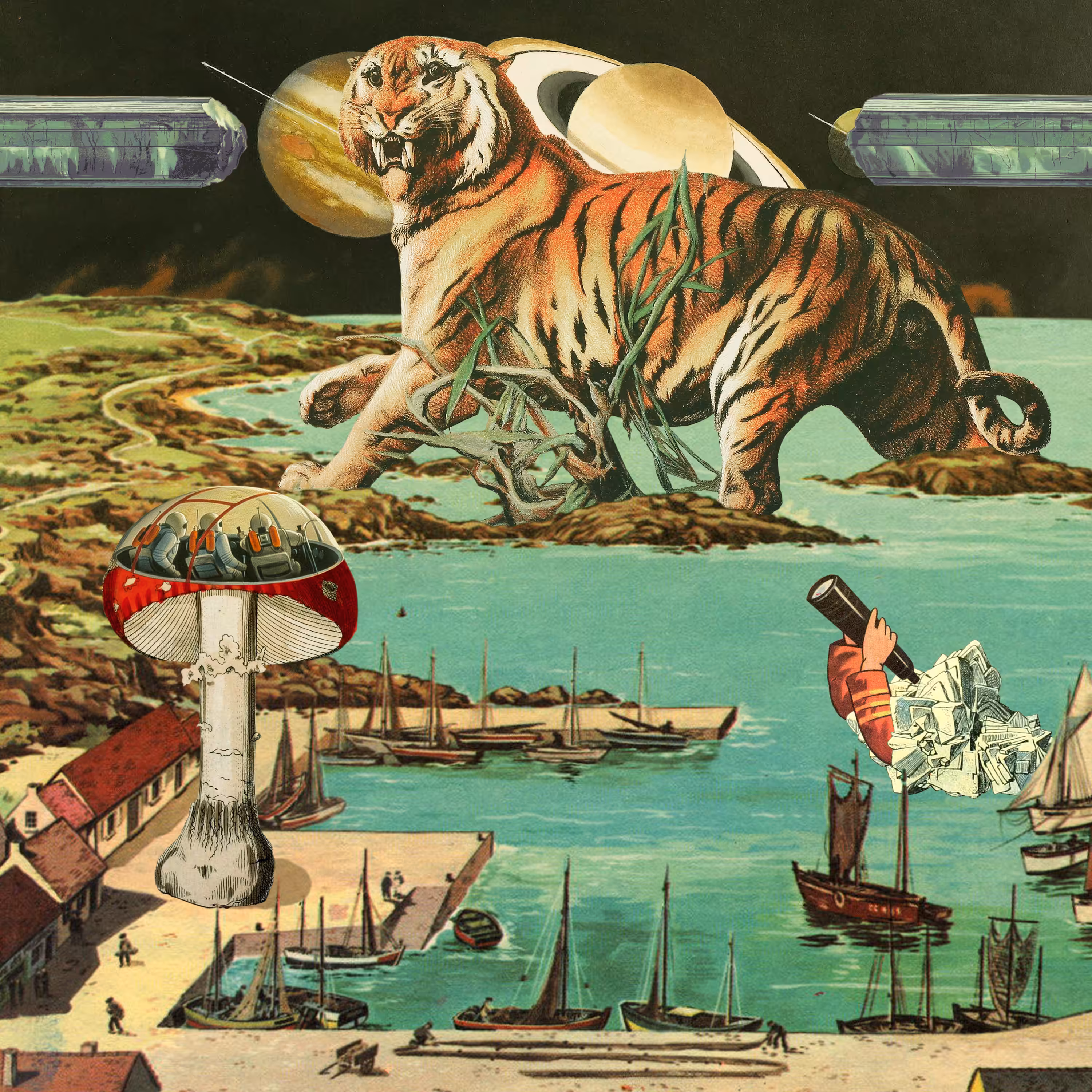 what, they sent us a tiger?